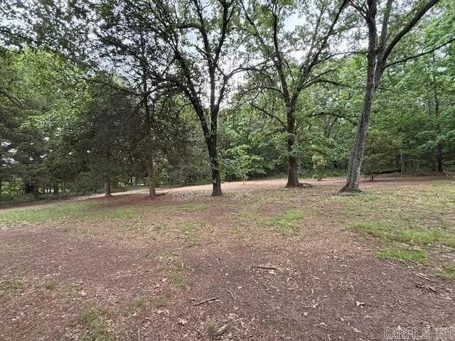 Property at 1019  Allen chapel - Image 40