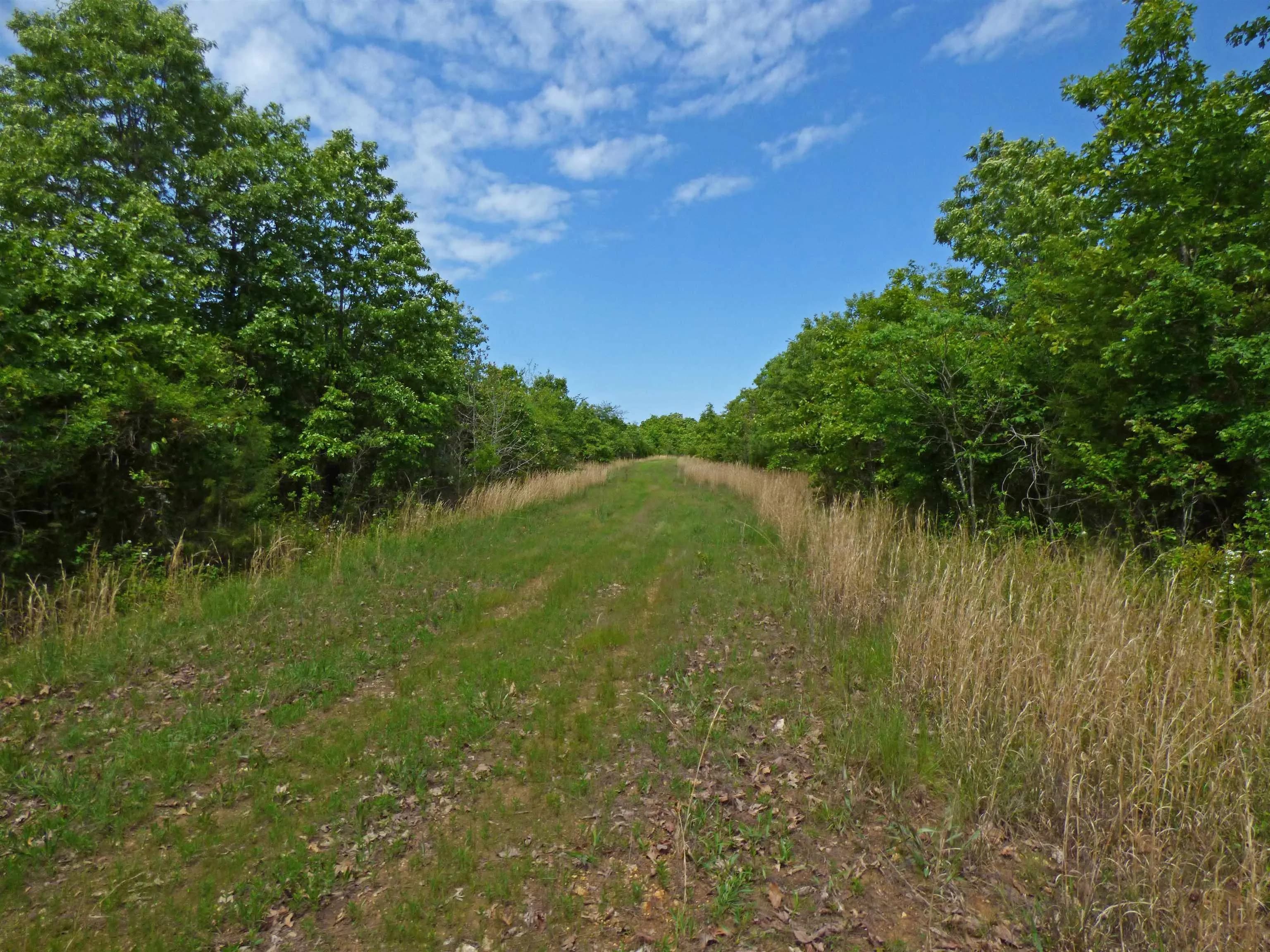 Property at Herron - Image 1
