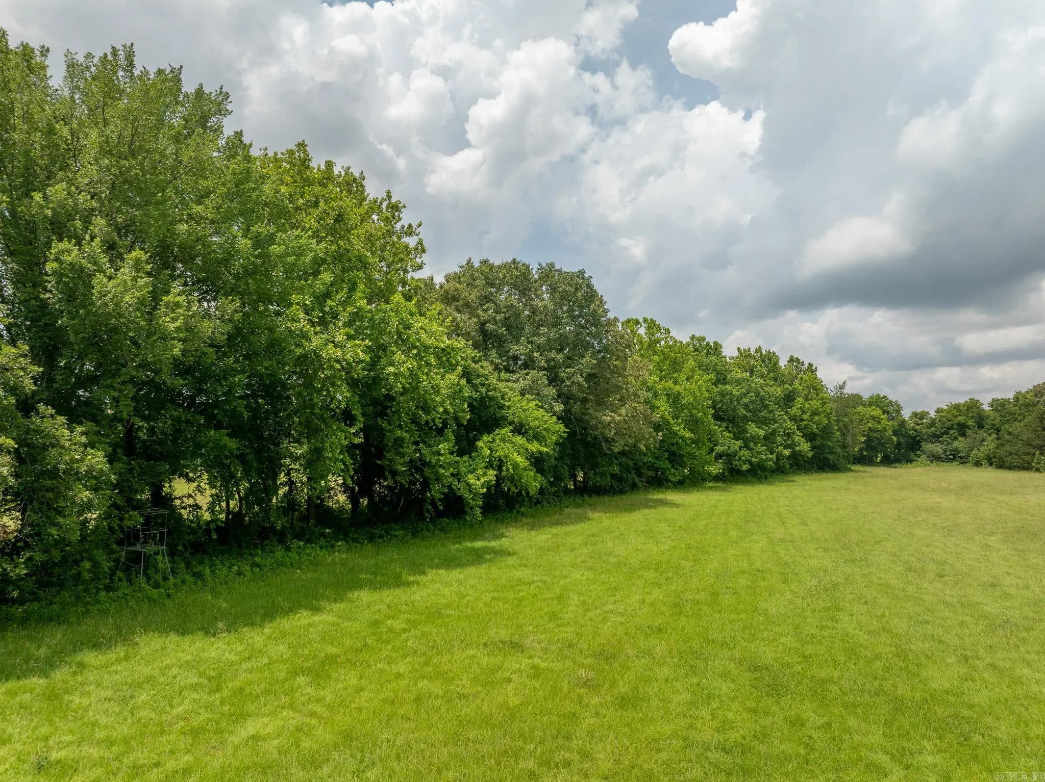 Property at 330  Harlan - Image 42