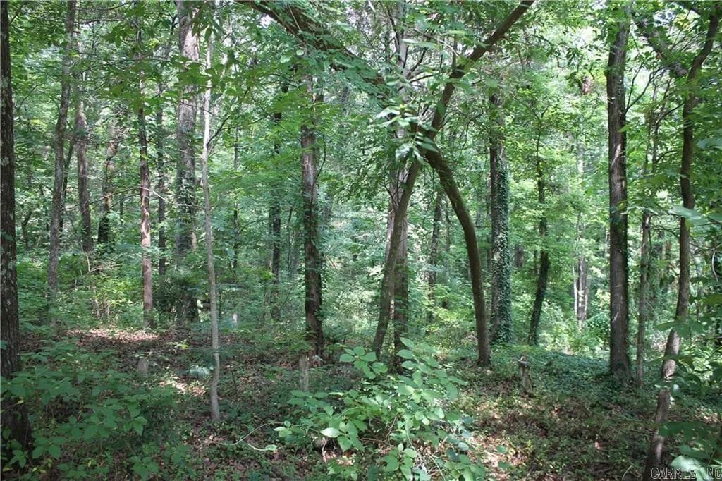 Property at Lot 42 & 43  Craigwood circle - Image 3
