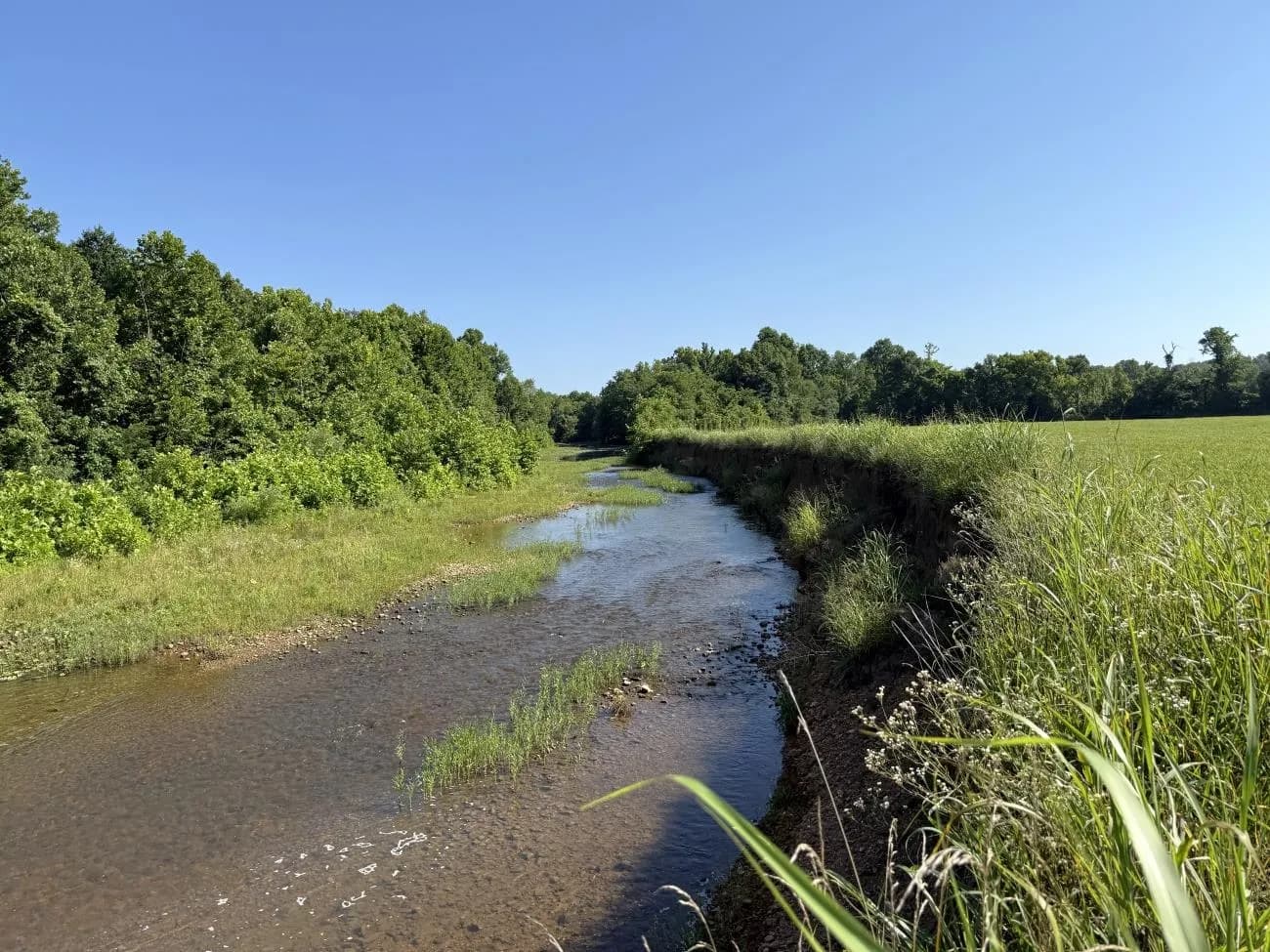Property at 00  Hwy 63 - Image 1