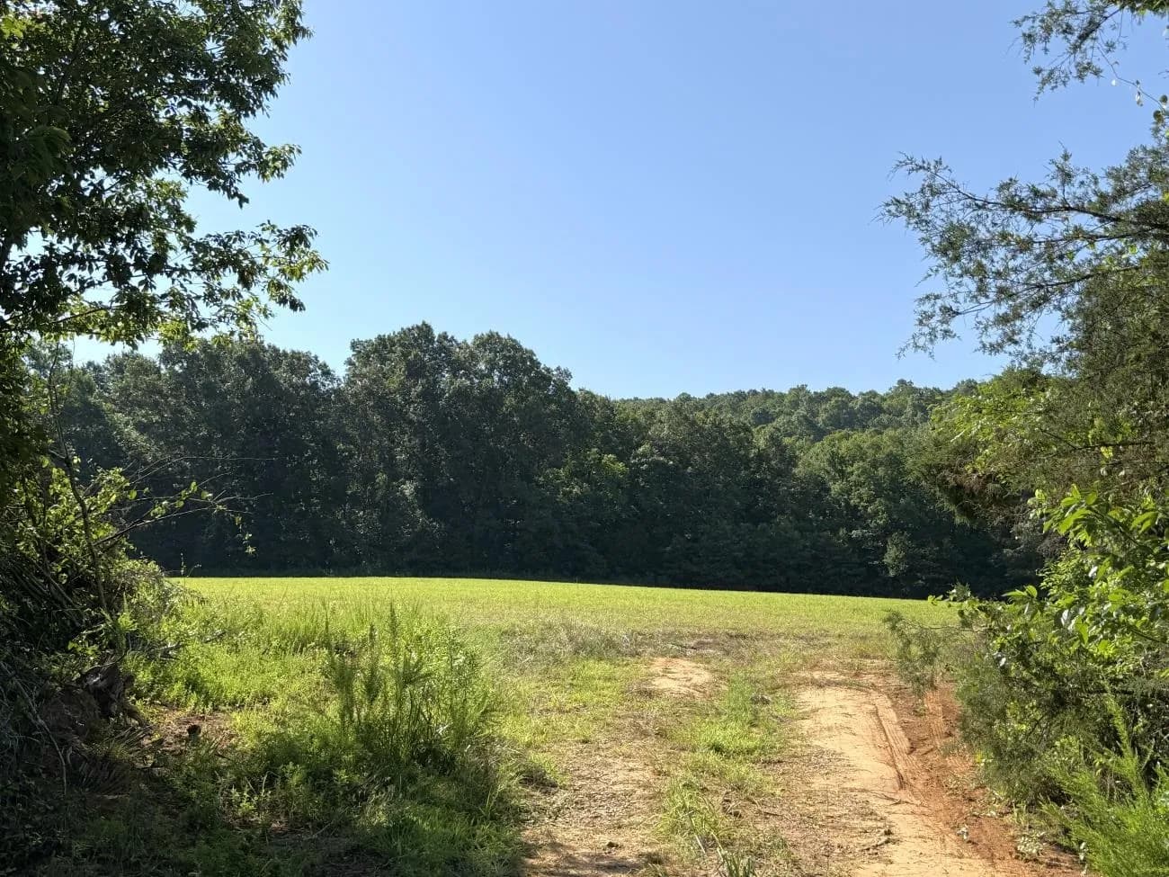 Property at 00  Hwy 63 - Image 7
