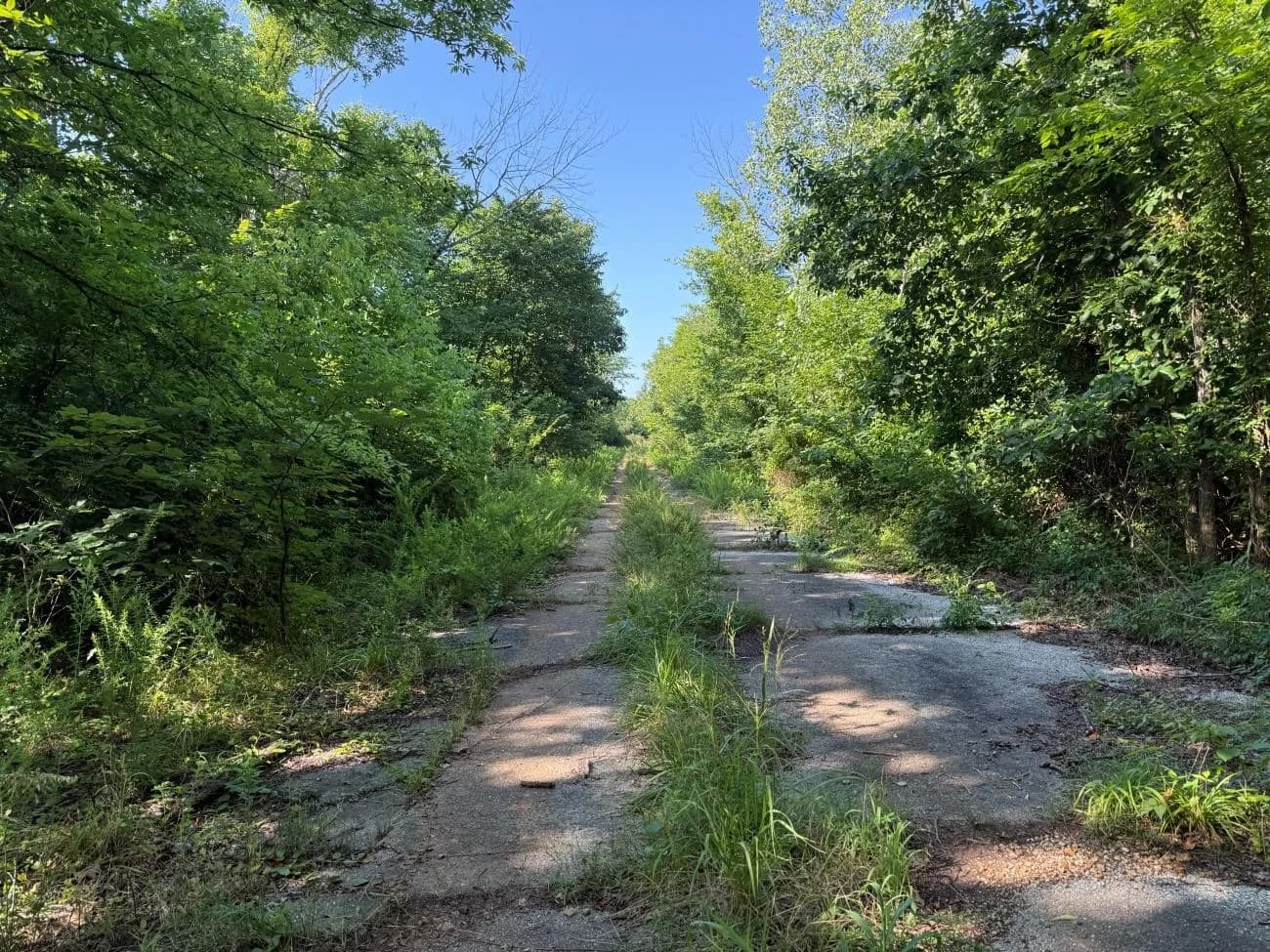 Property at 00  Hwy 63 - Image 9