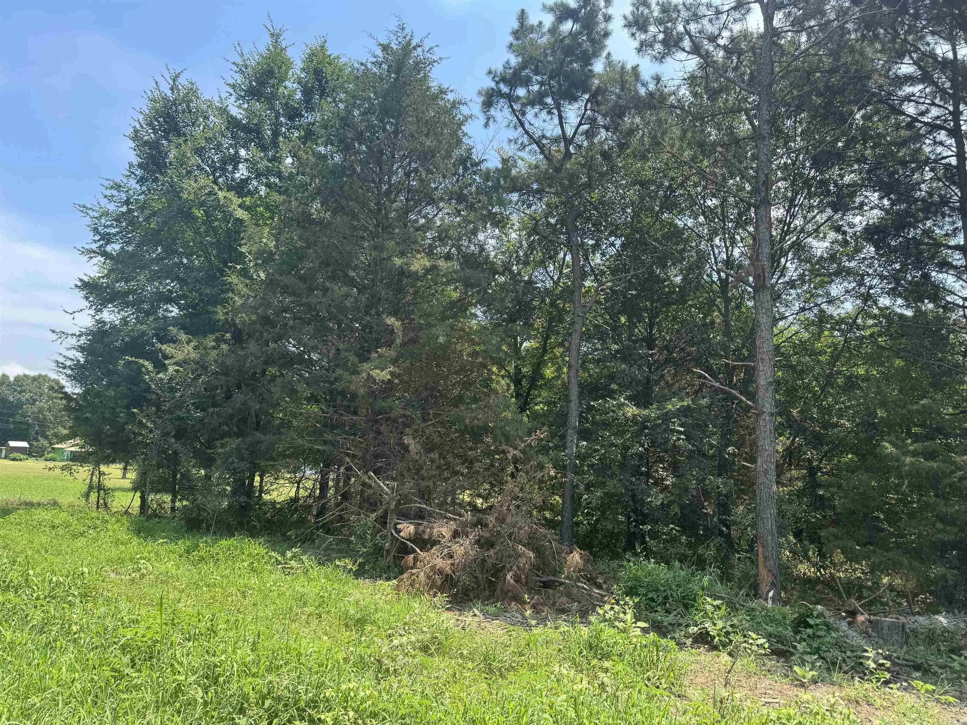 Property at 2.75 Acres  Cr 2141 - Image 2