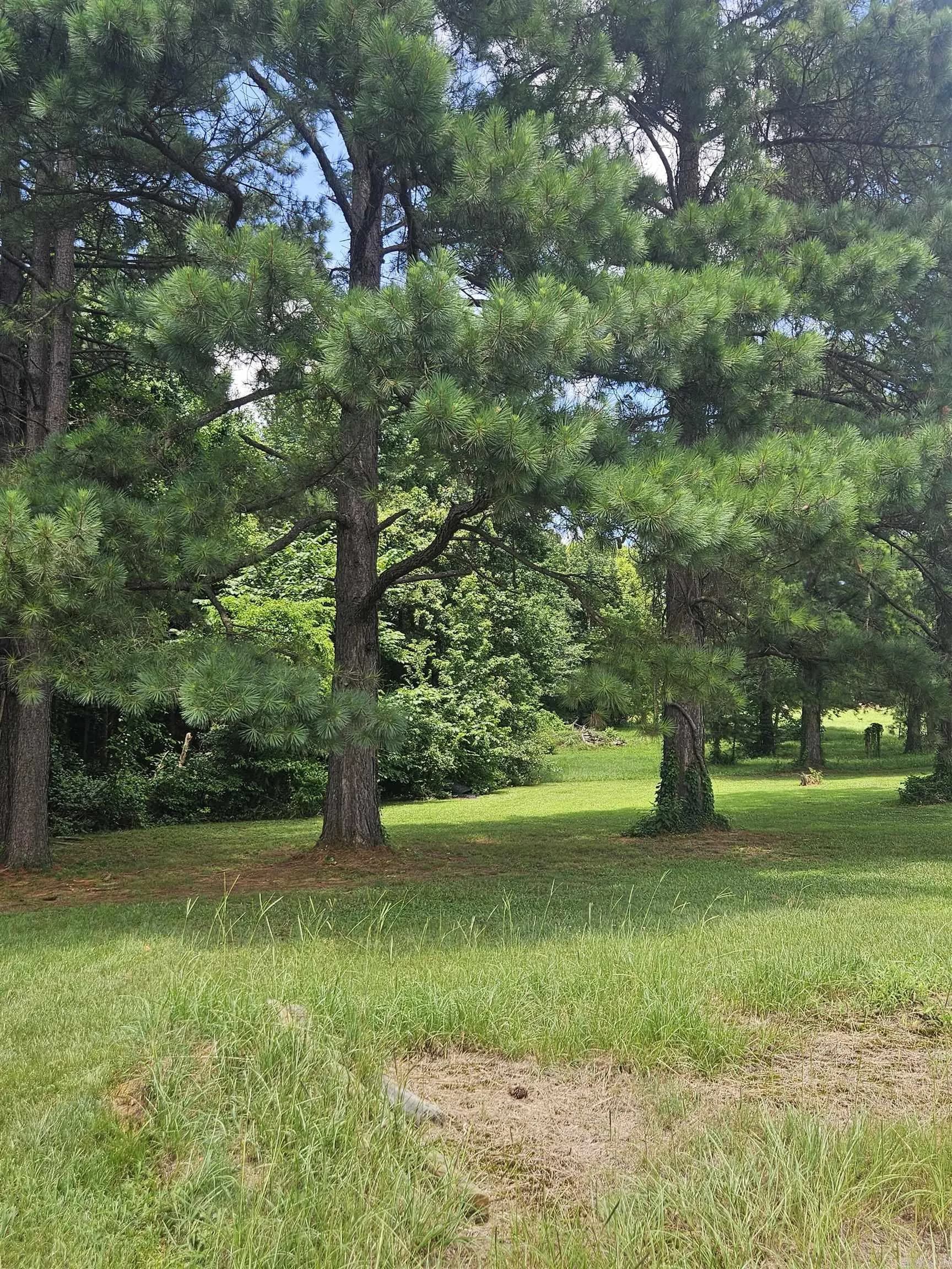 Property at 453  Westbrook - Image 18