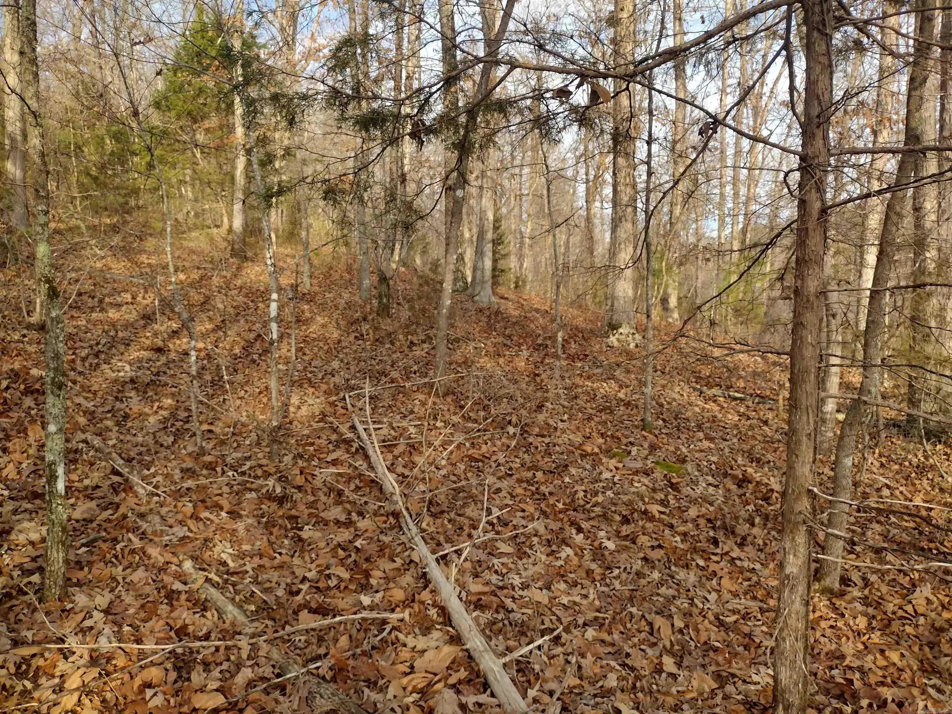 Property at 0  Geier rd - Image 15