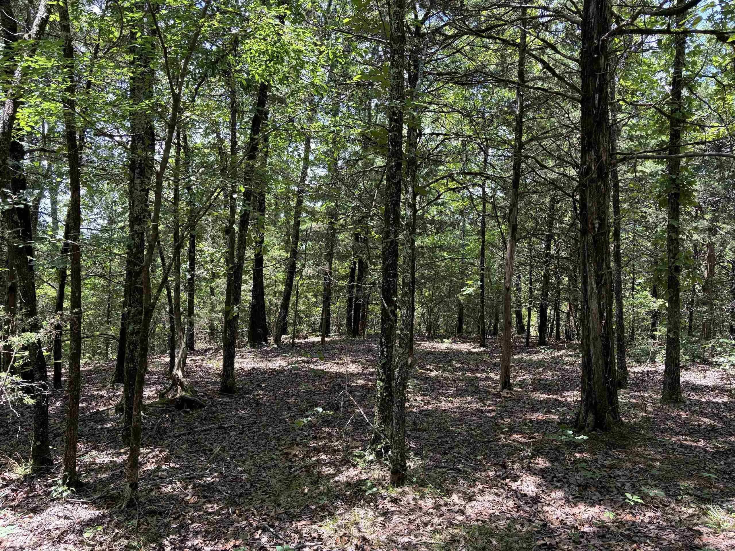 Property at 000  Merryman road - Image 38