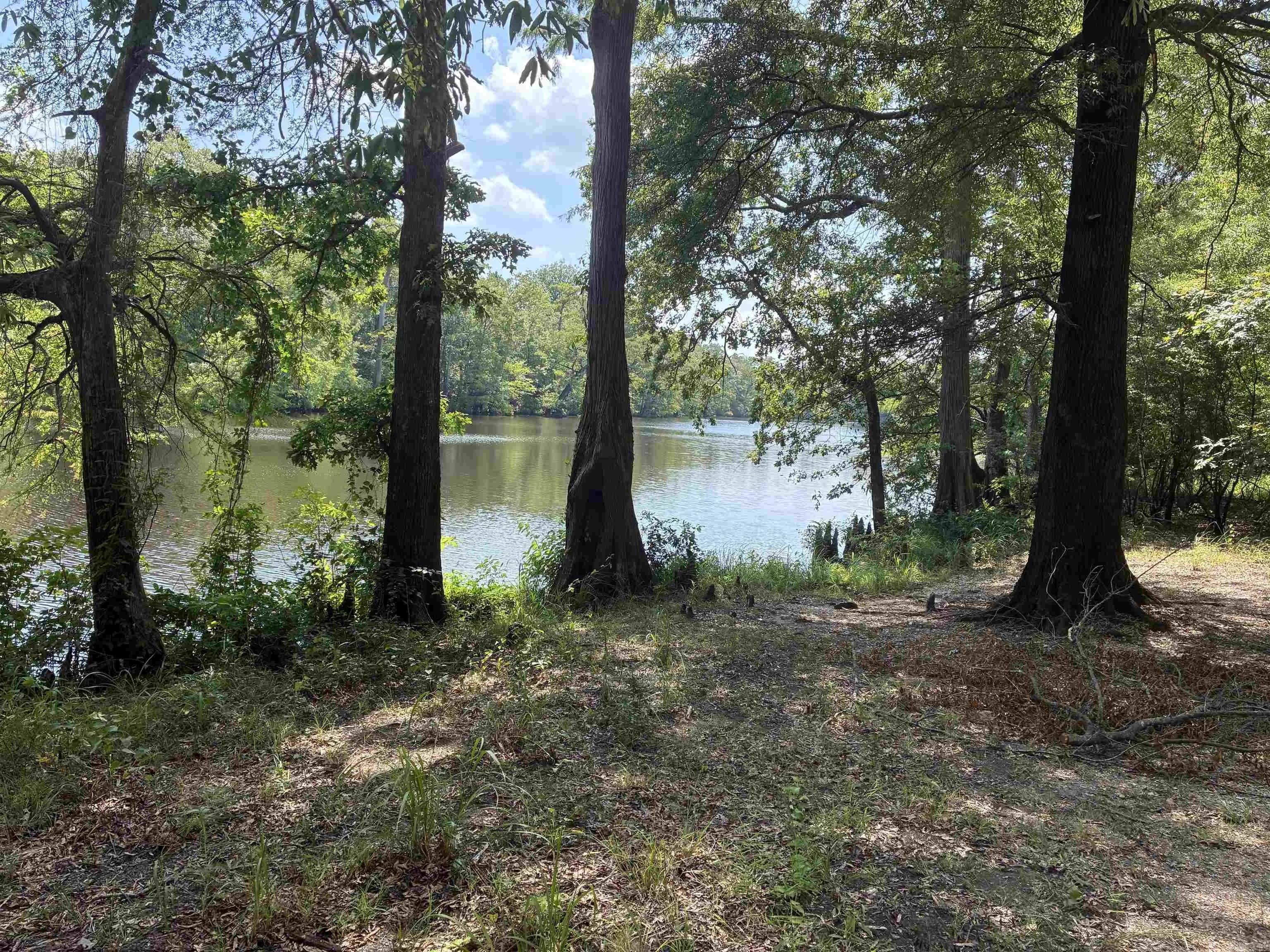 Property at Calhoun 303 - Image 2