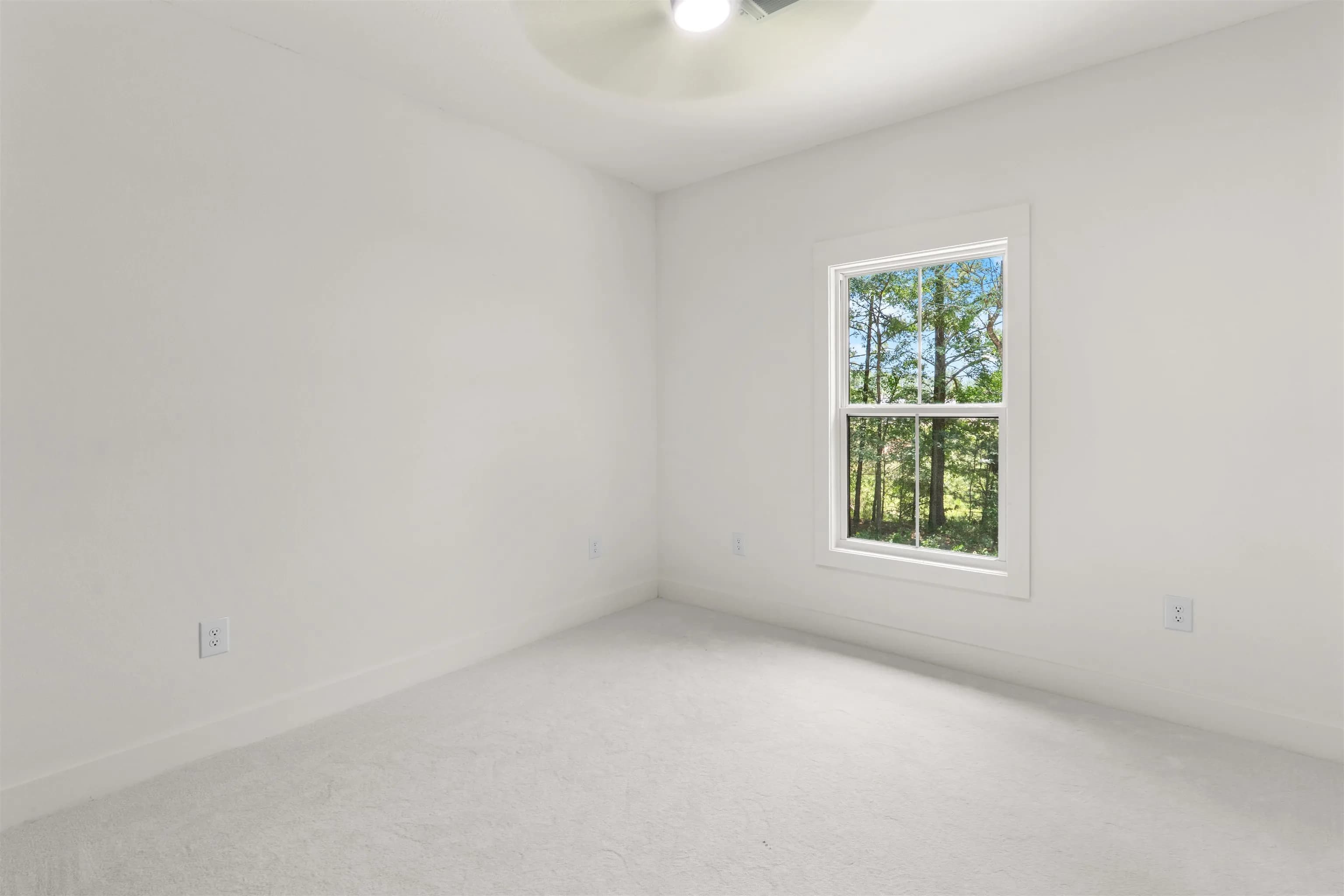 Property at 98  Jones street - Image 12