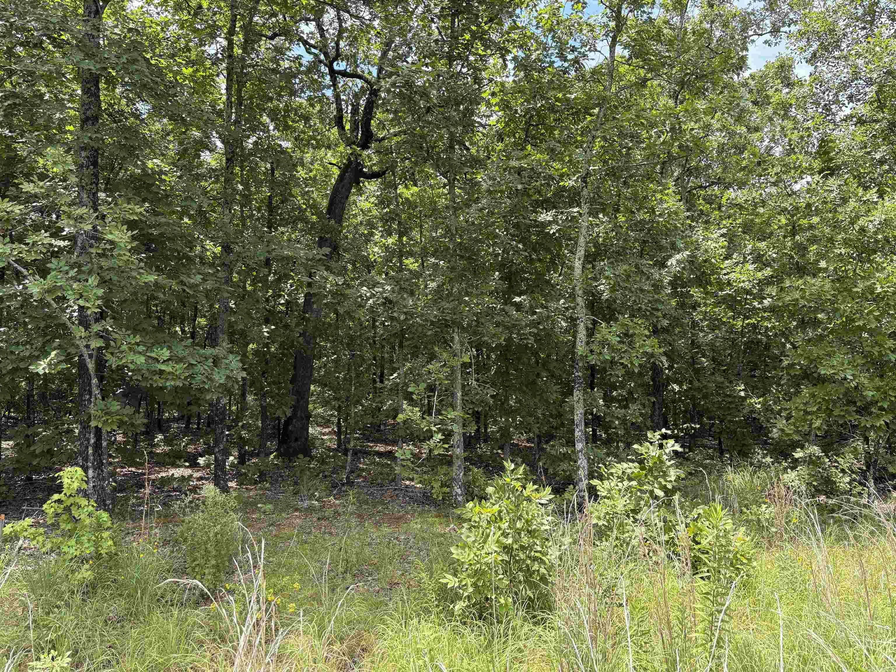 Property at Rebecca - Image 3