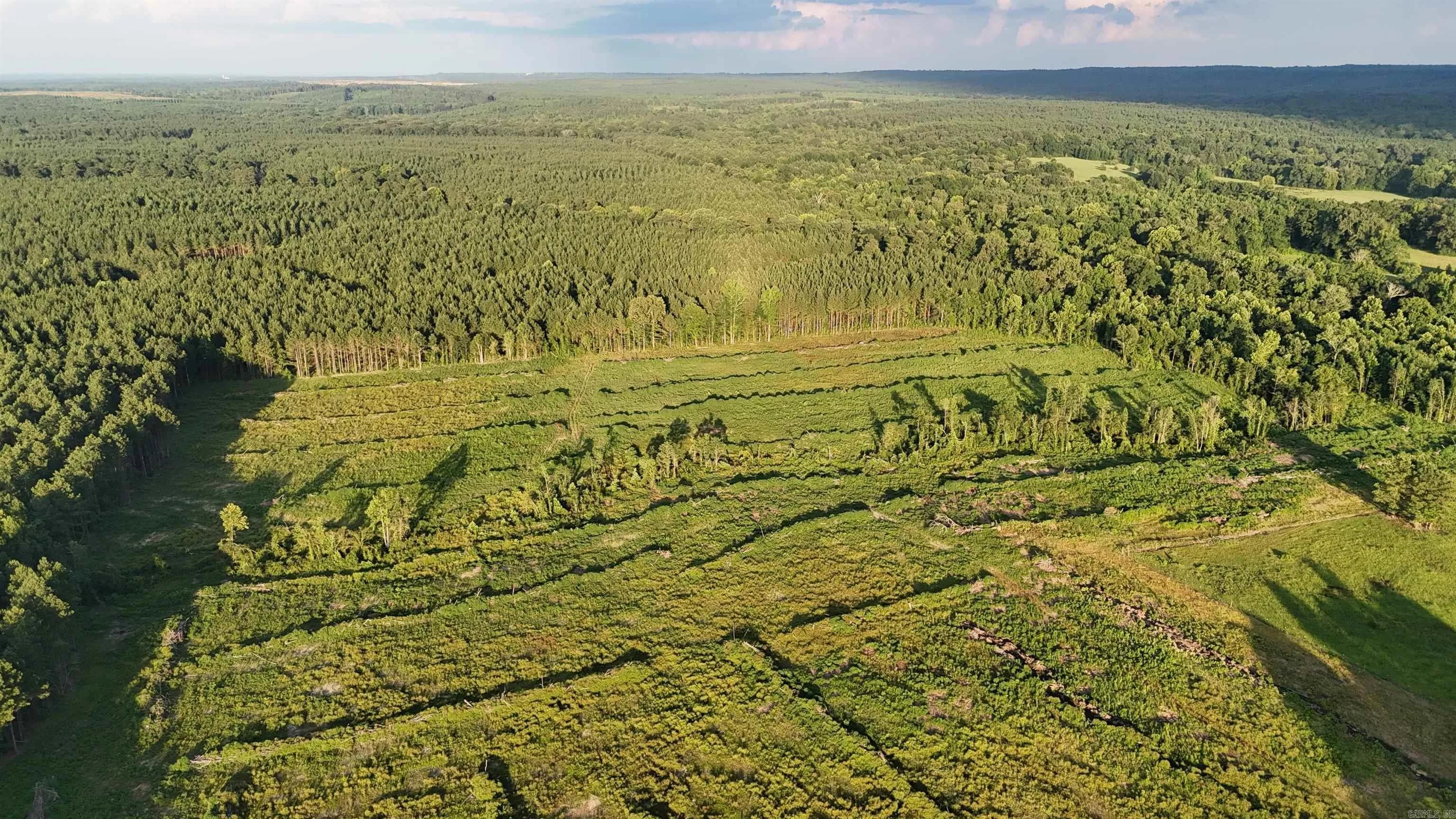 Property at 11952  Highway 278 - Image 10