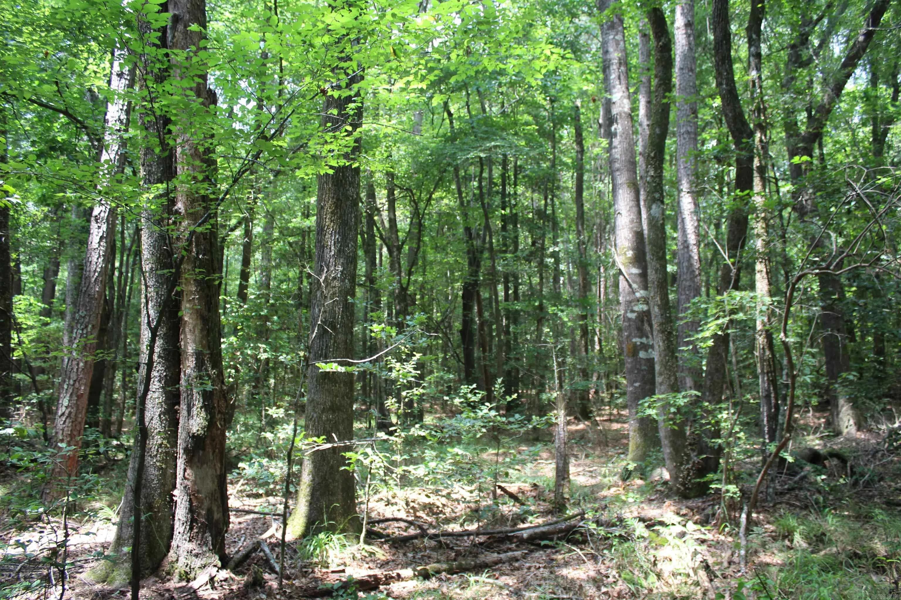Property at Cornbridge - Image 6