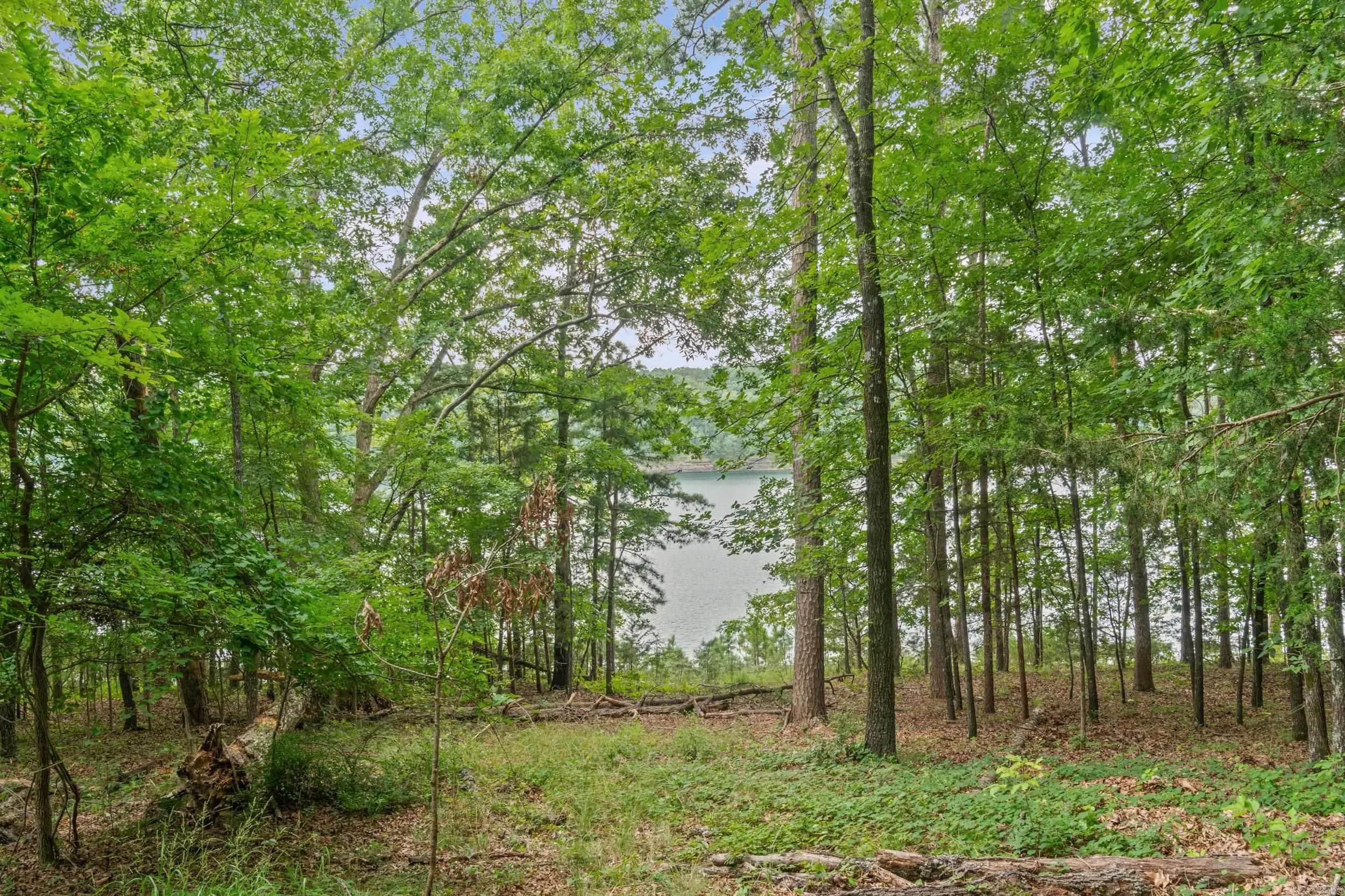 Property at 357  Belmont acres - Image 27