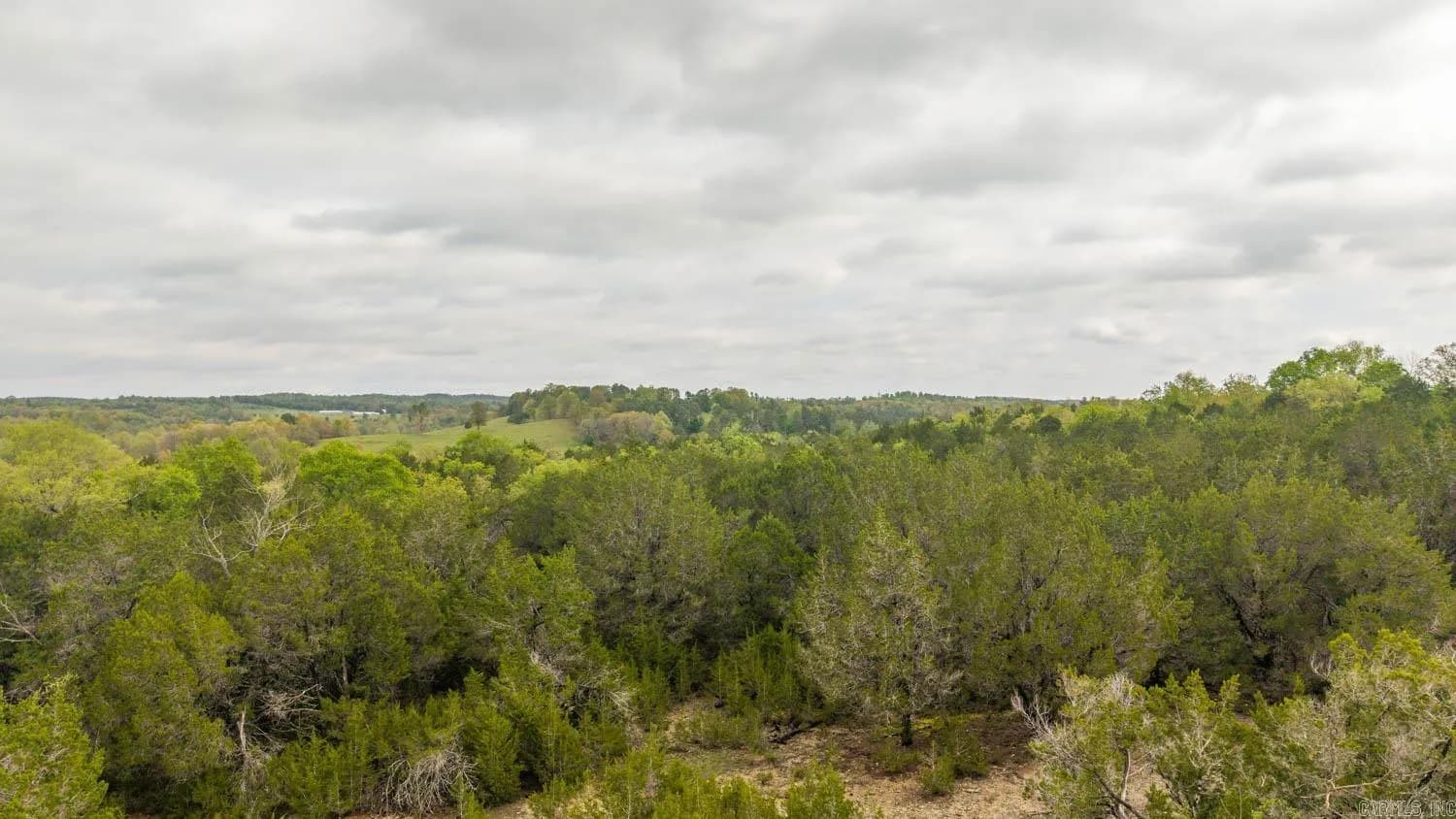 Property at Tract 4  Little woods - Image 6