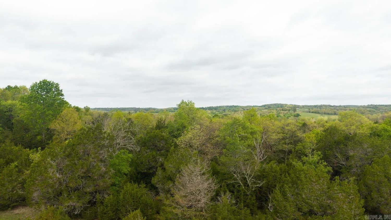 Property at Tract 6  Litte woods - Image 9
