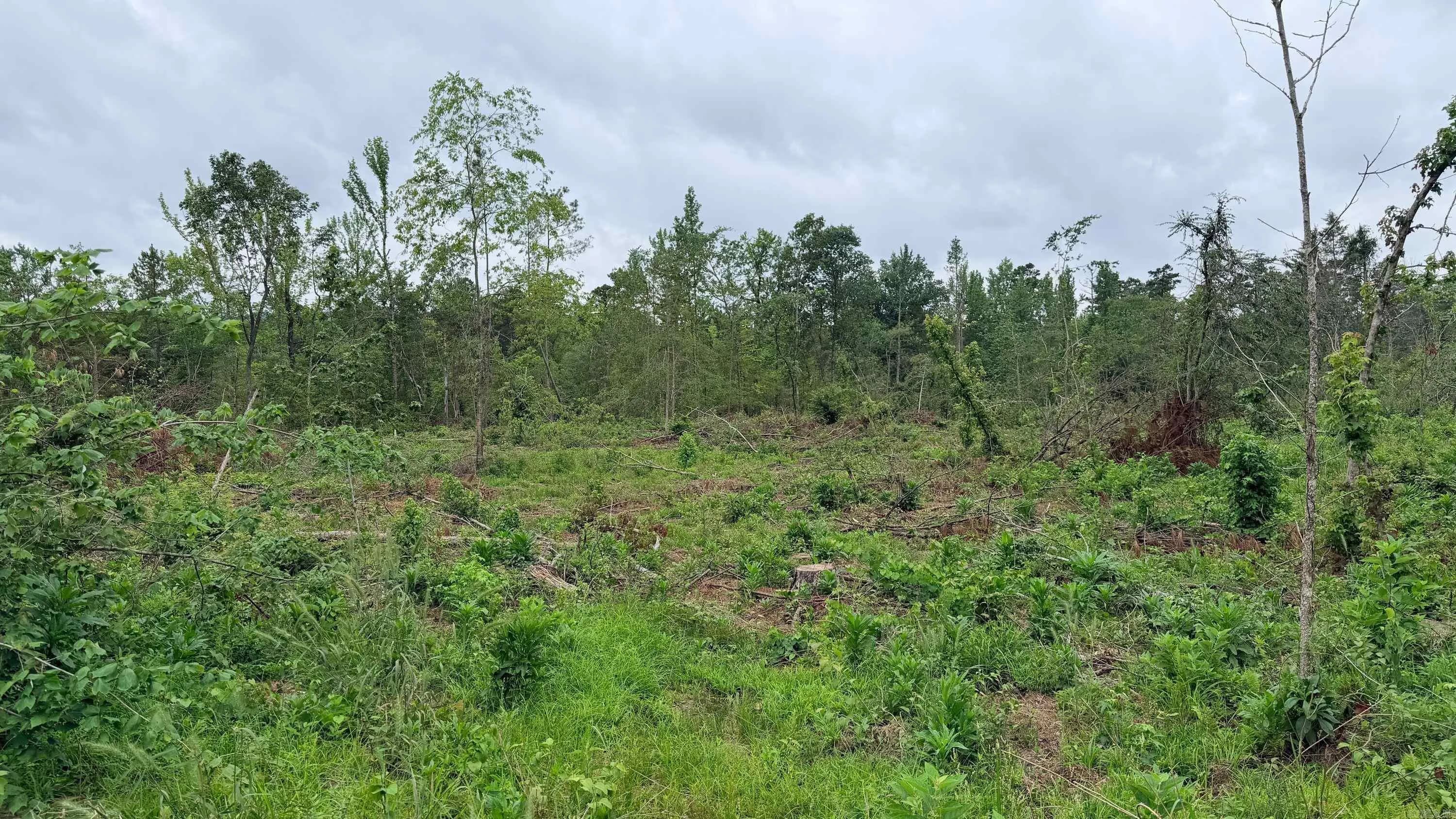 Property at TBD  Chula - Image 30