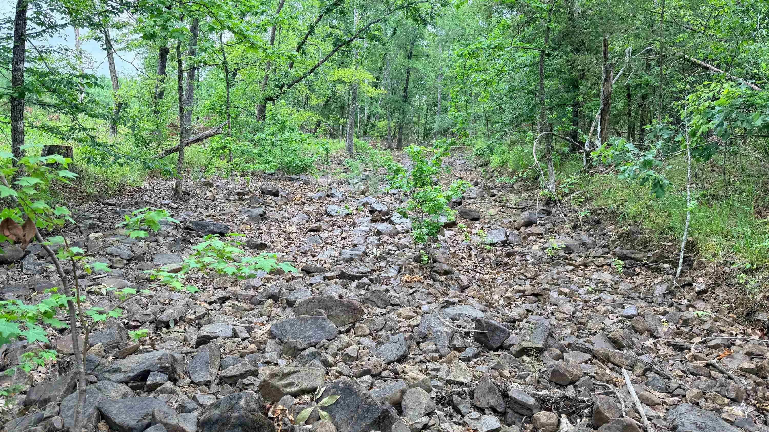 Property at TBD  Chula - Image 27