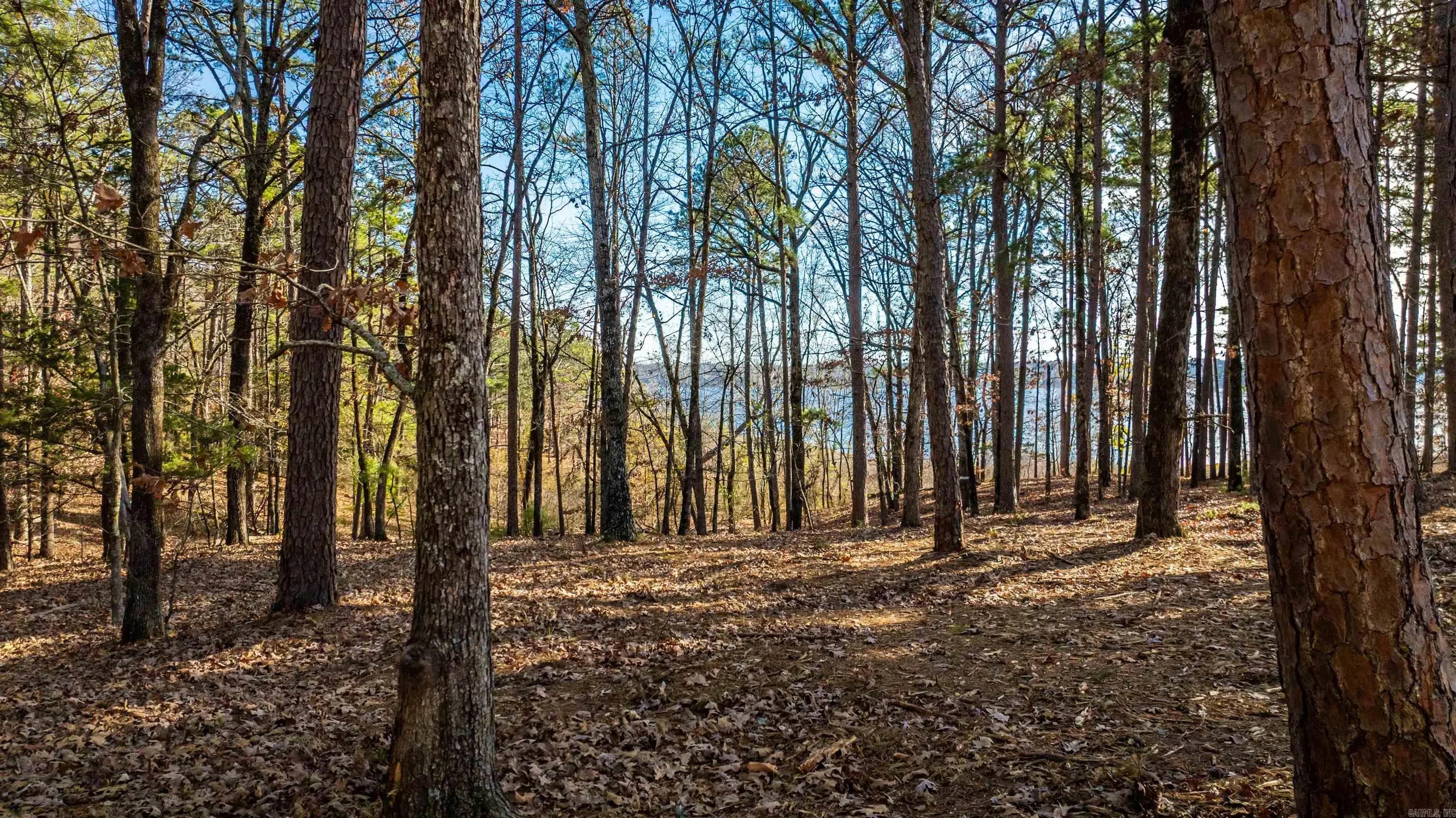 Property at 000  Miller point (lot 46) - Image 4
