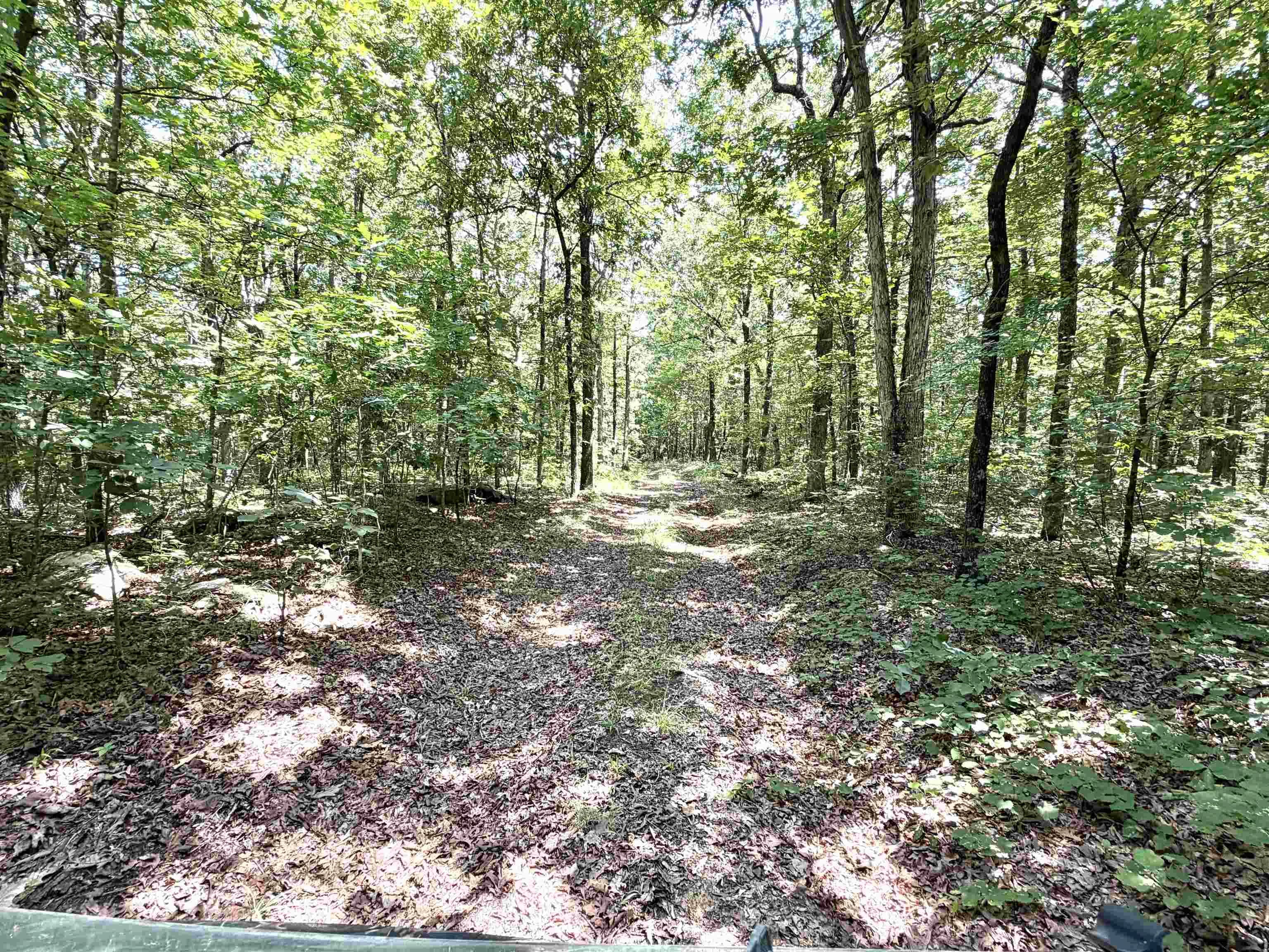 Property at 312  Jackson county road 2 - Image 14