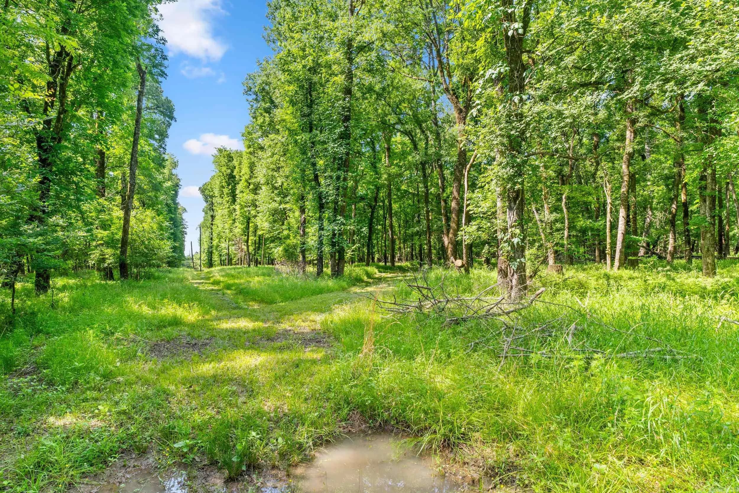 Property at TBD  Pleasant valley road - Image 7