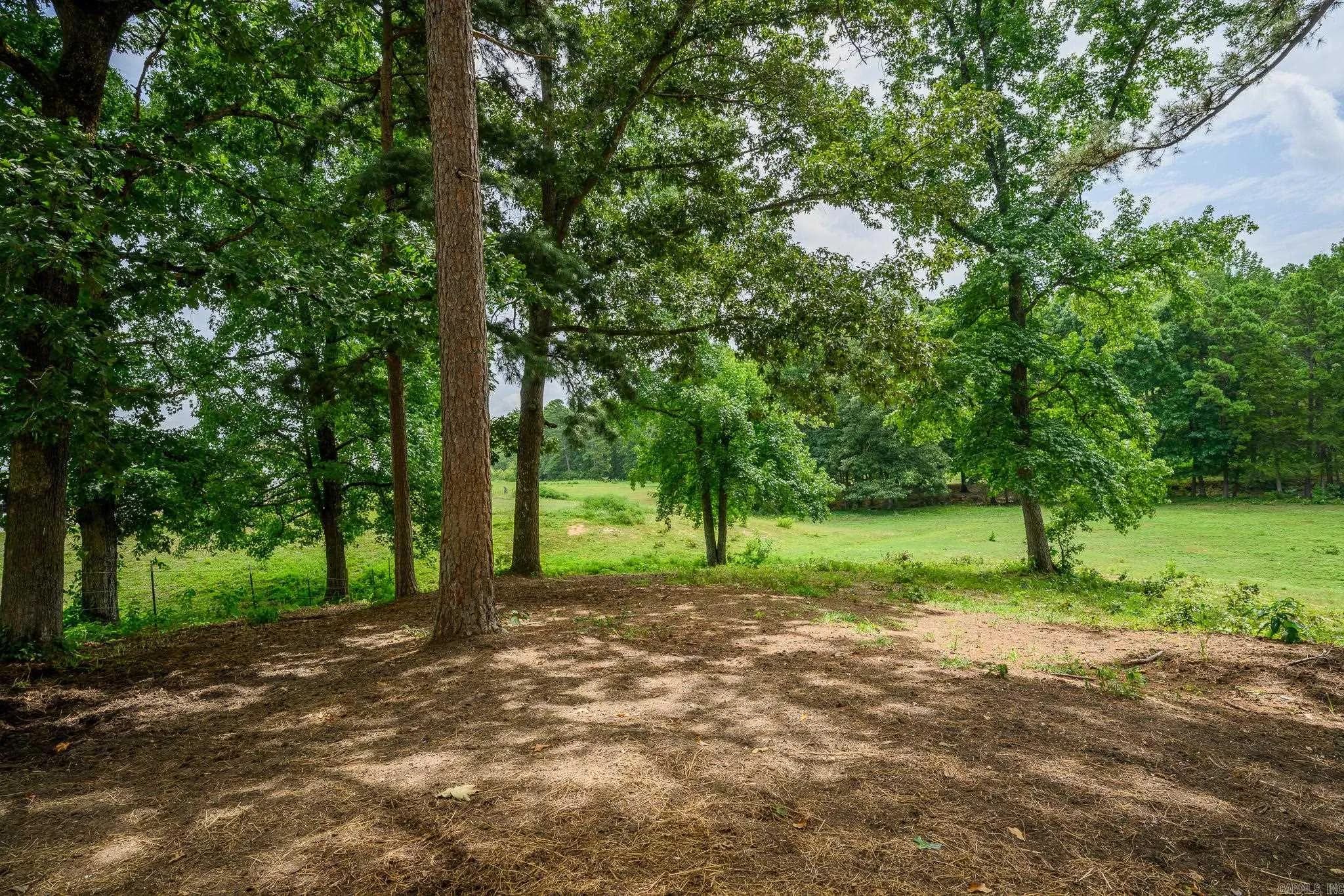 Property at 938  Ballpark road - Image 45