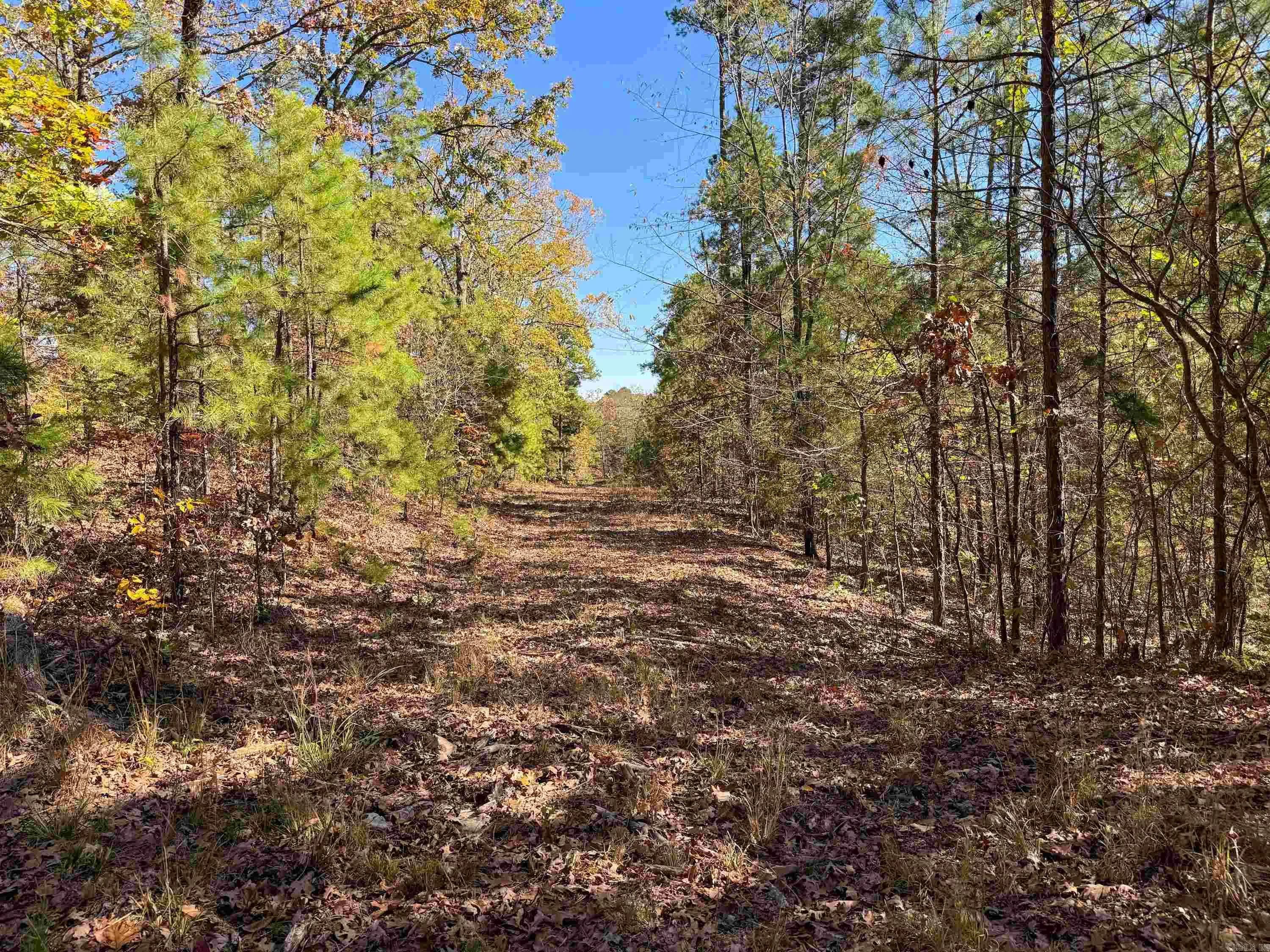 Property at 352  Sunset - Image 32