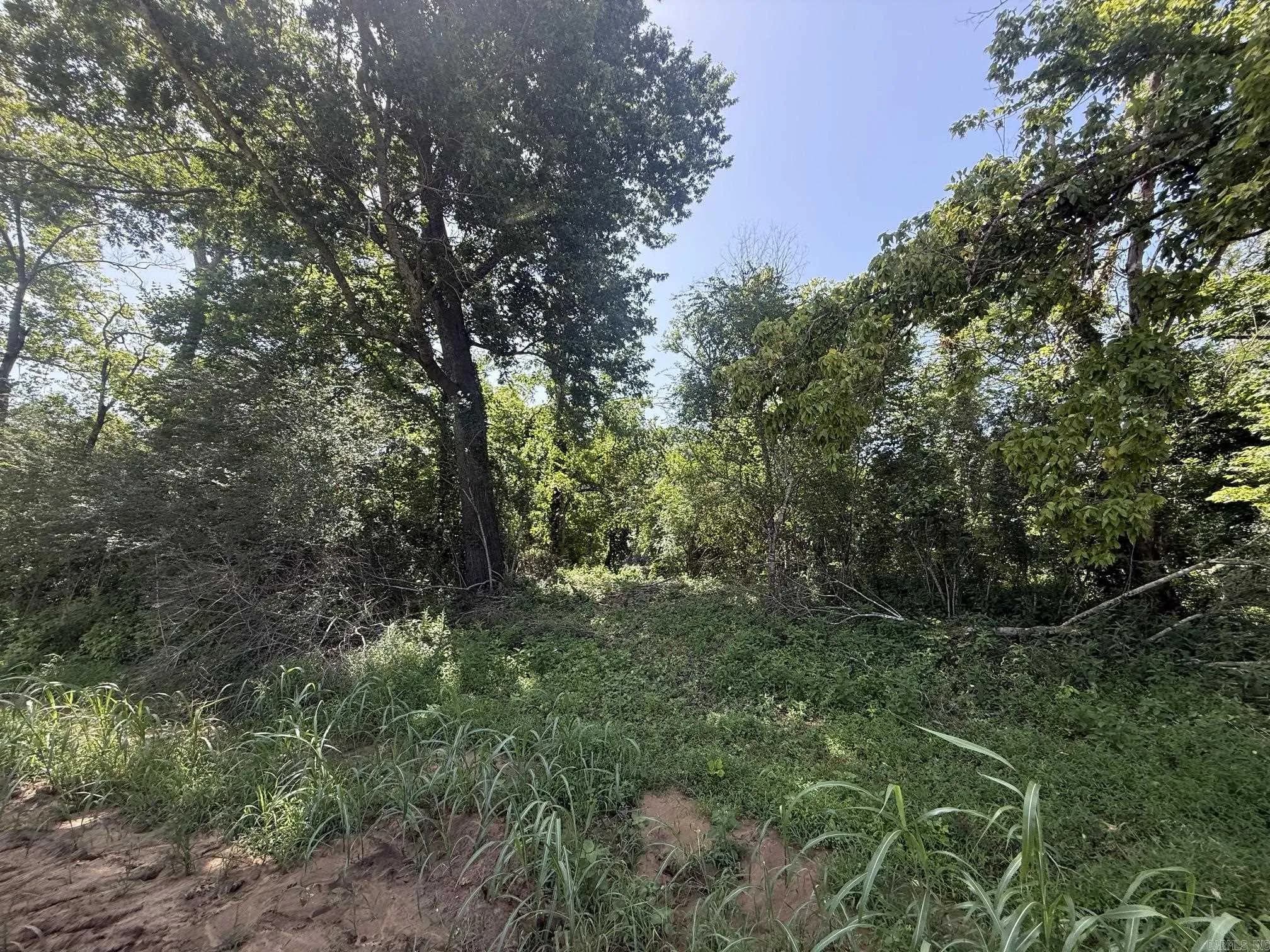 Property at Lot 35  Up river - Image 3