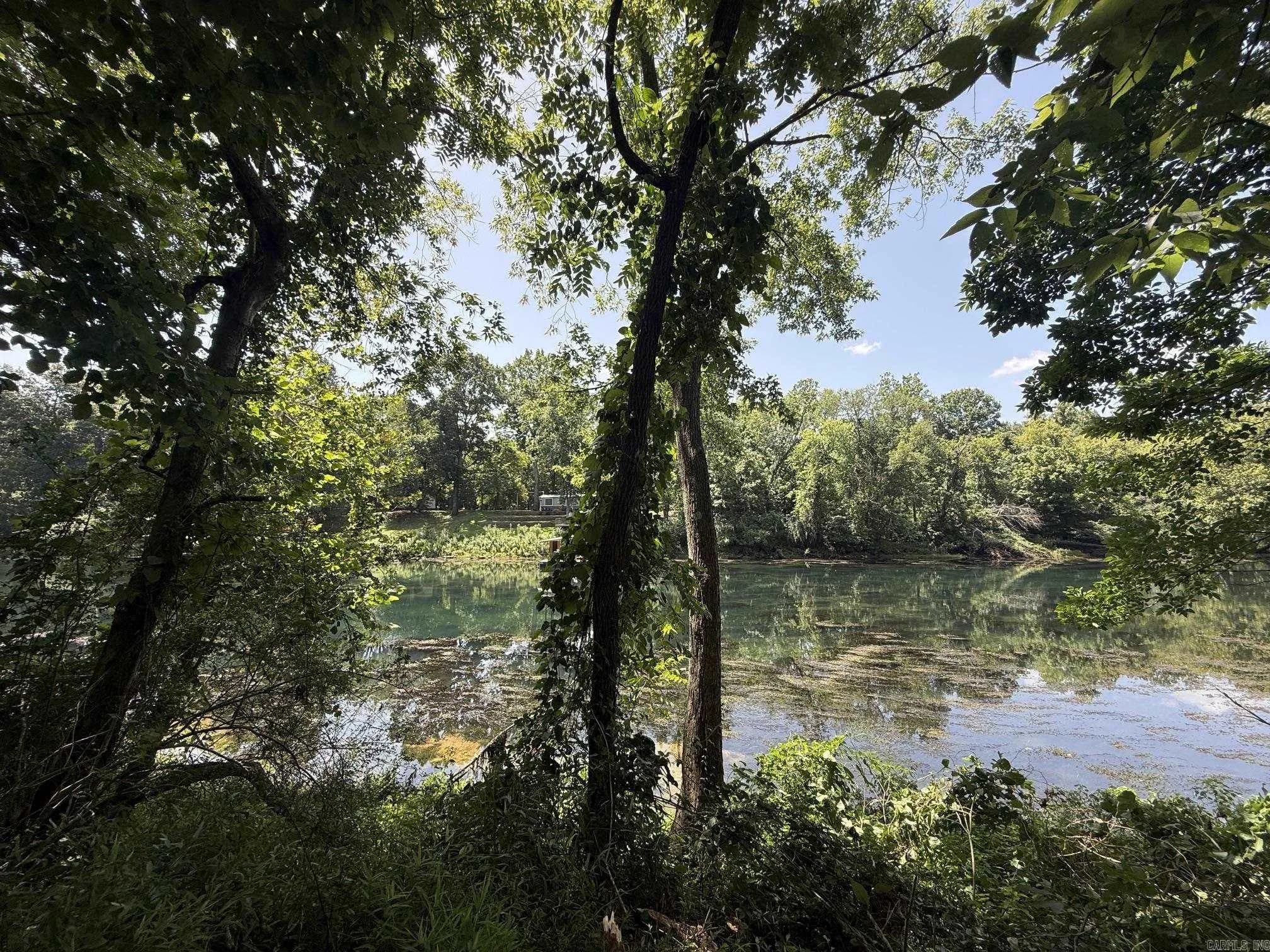 Property at Lot 42  Up river - Image 4