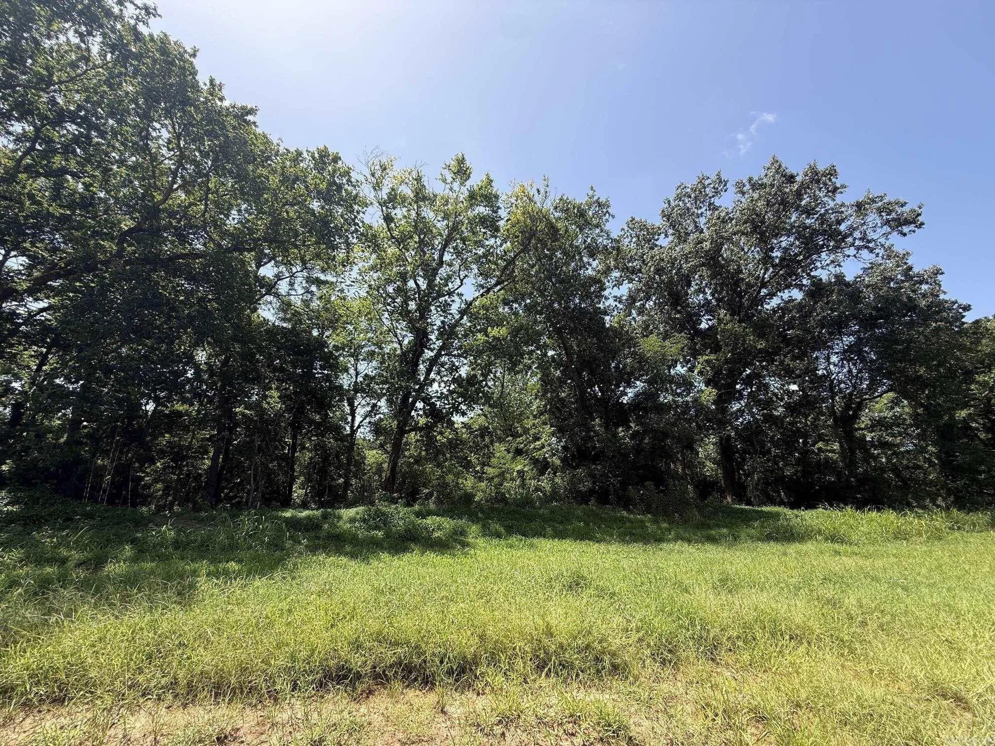 Property at Lot 42  Up river - Image 5