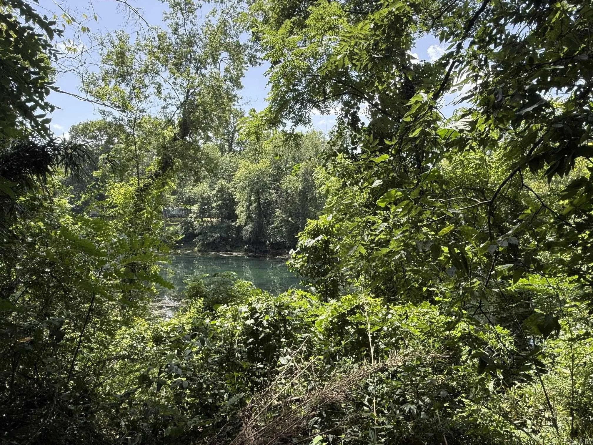 Property at Lot 45  Up river - Image 2