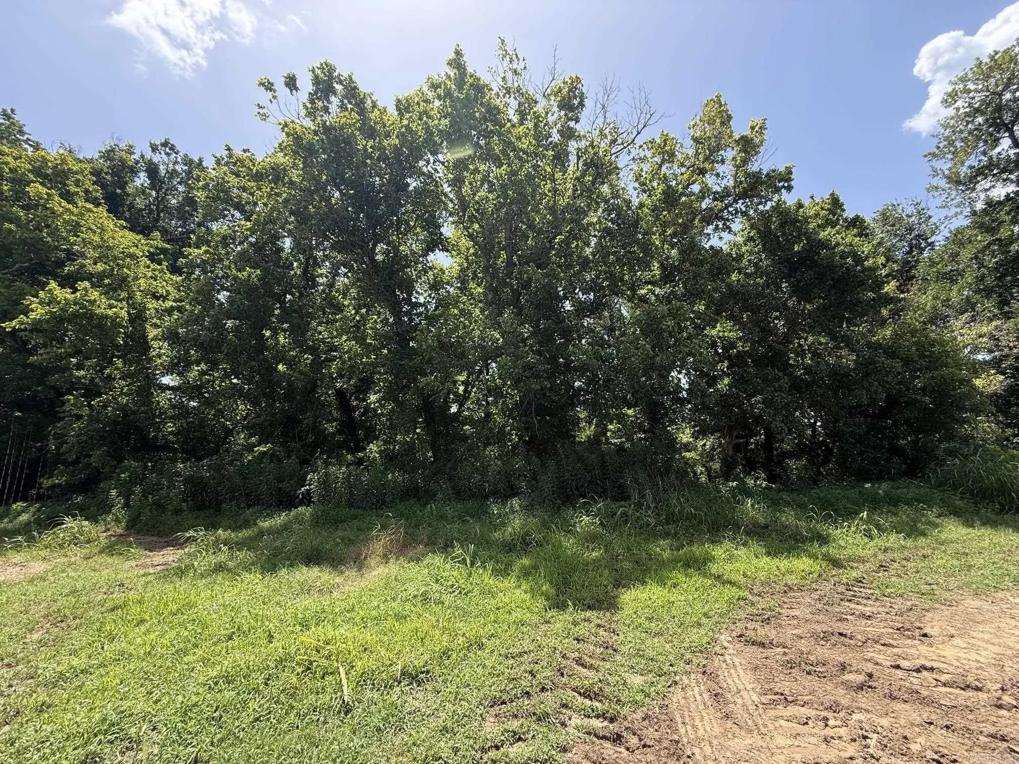 Property at Lot 45  Up river - Image 3