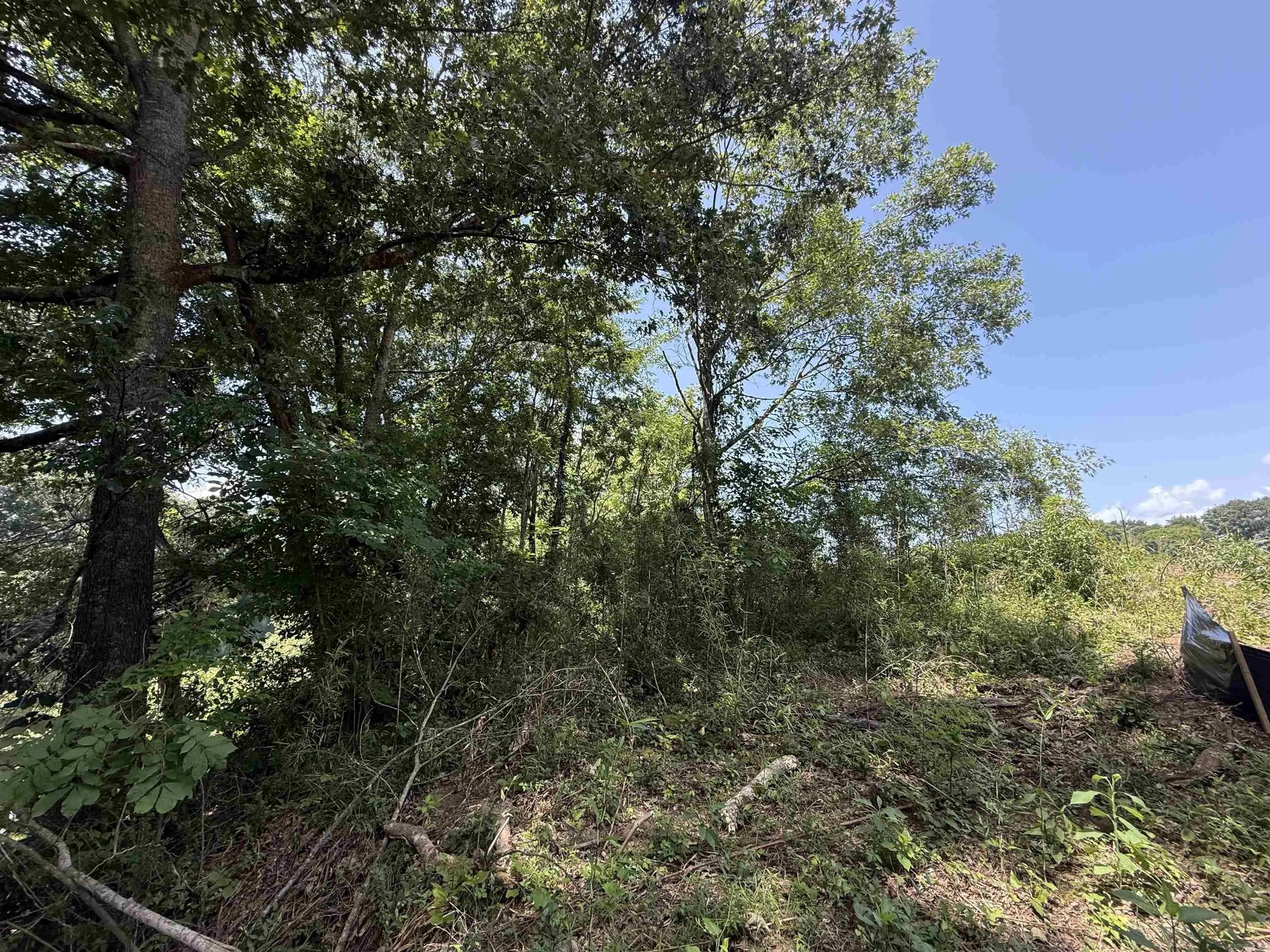 Property at Lot 61  Down river - Image 6