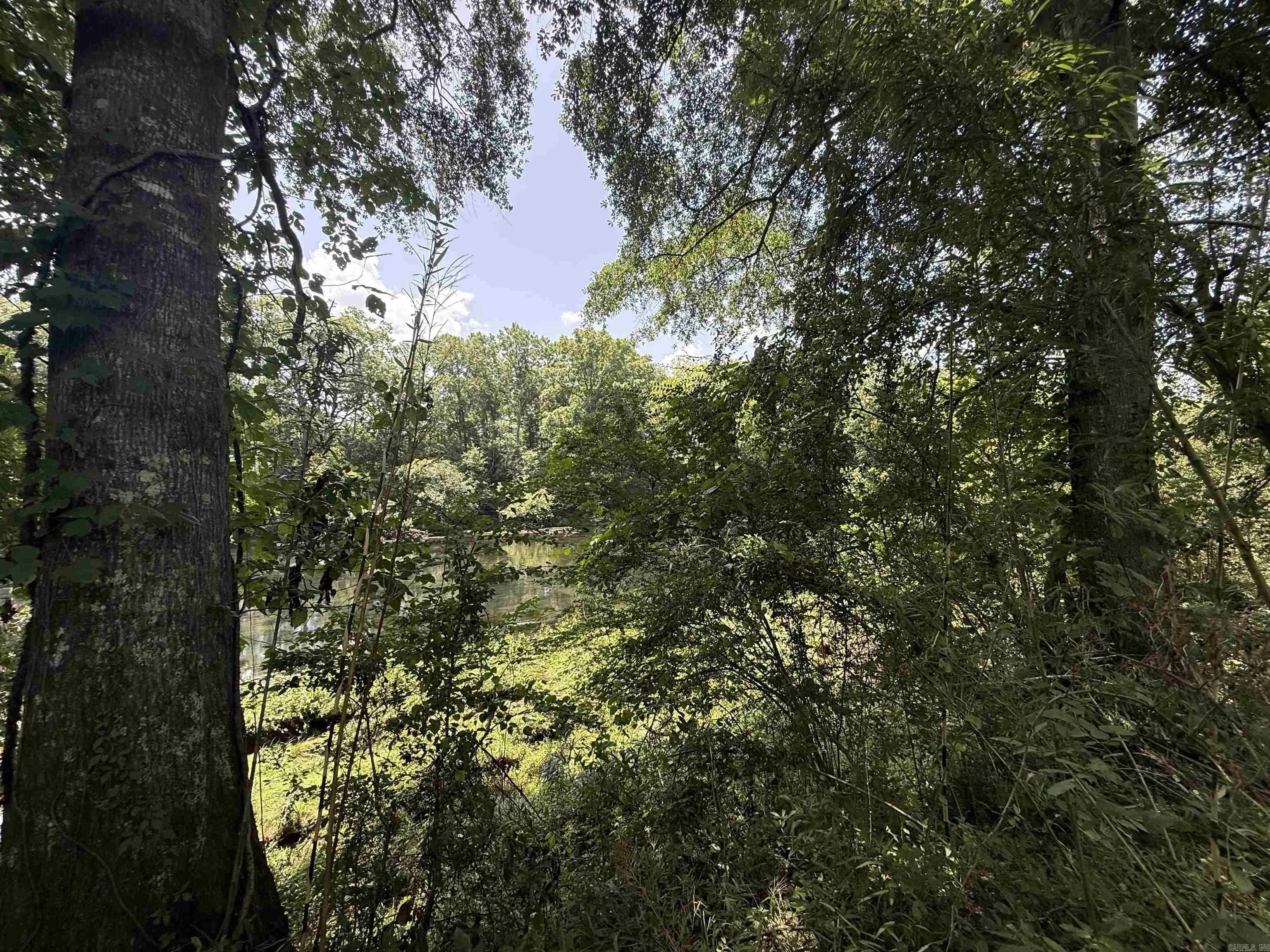 Property at Lot 61  Down river - Image 8