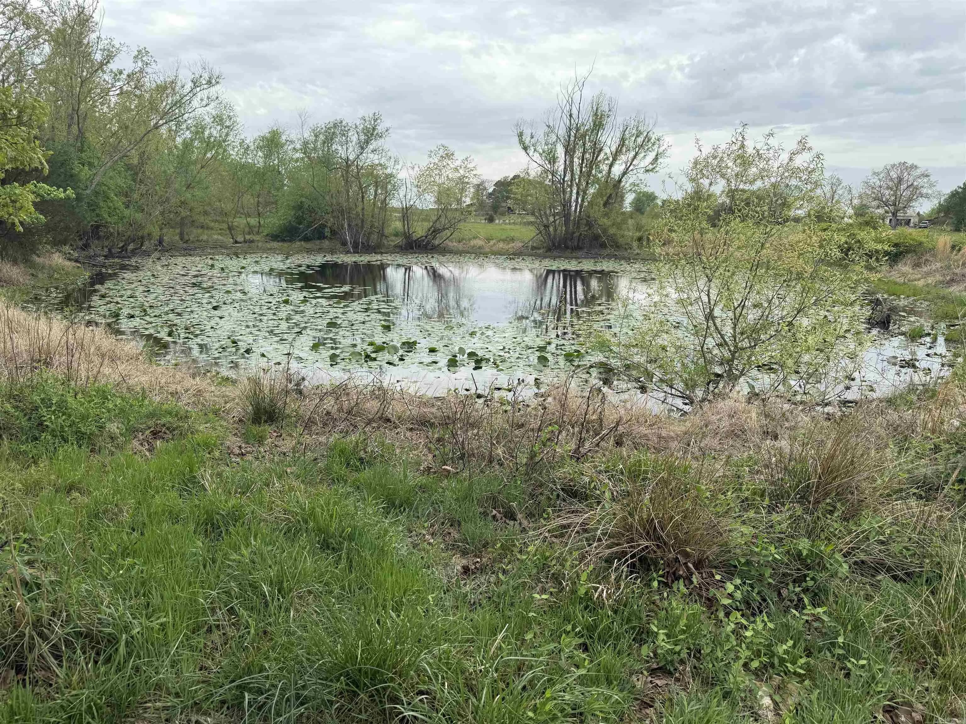 Property at 115 b  Bliss - Image 43