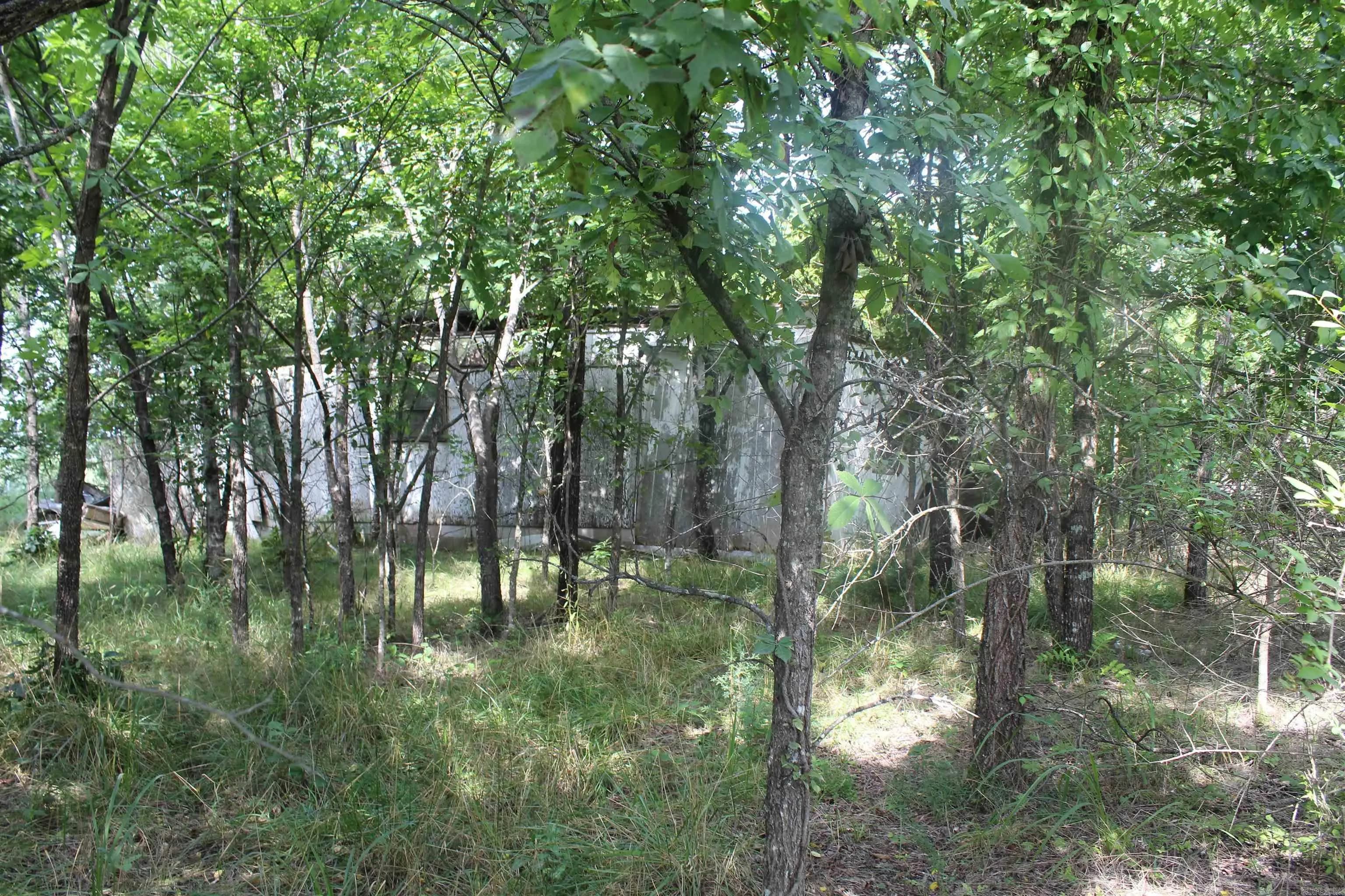Property at 019-02950-000  Horseshoe bend road - Image 12