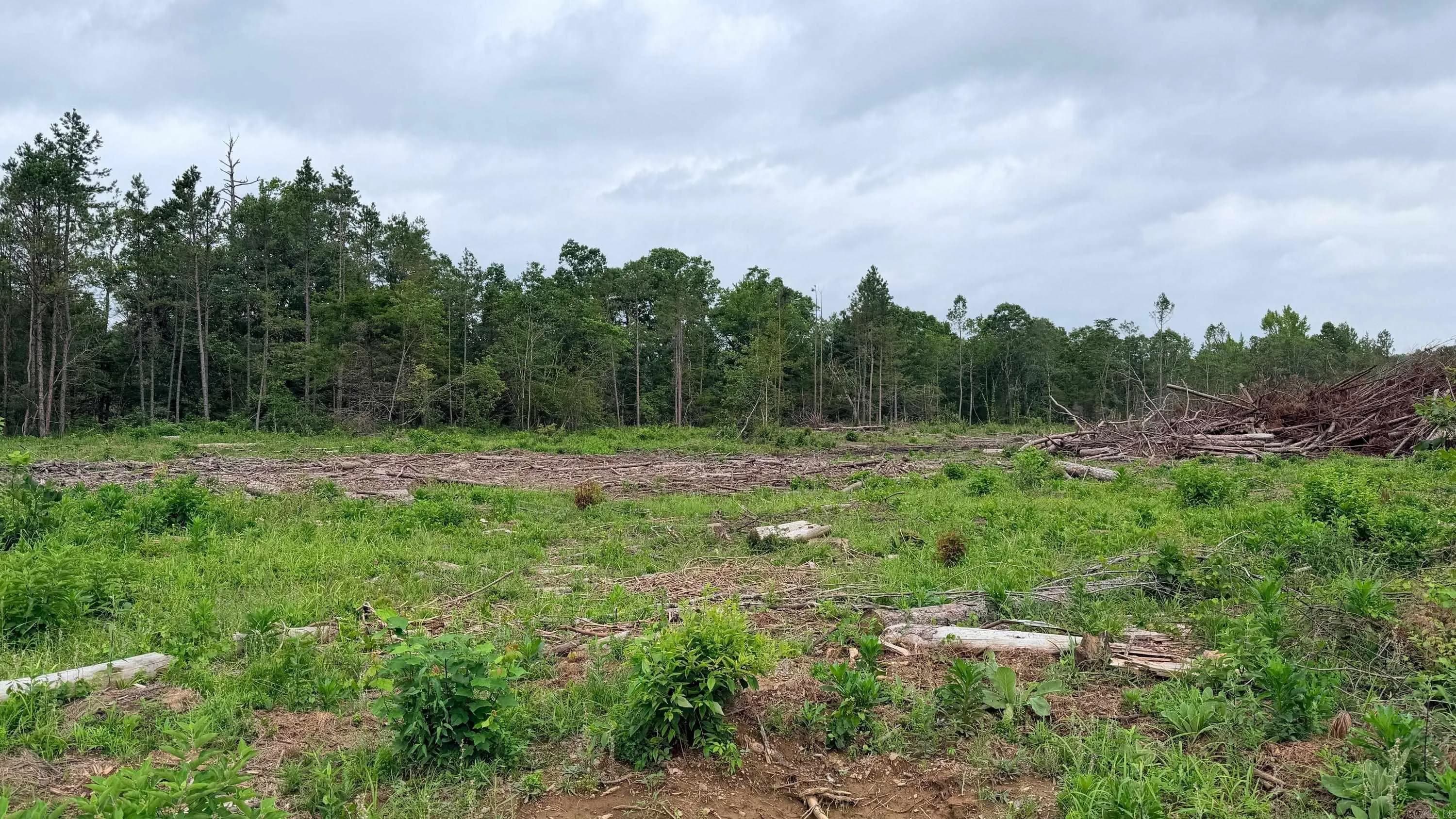 Property at 0002  Chula - Image 12