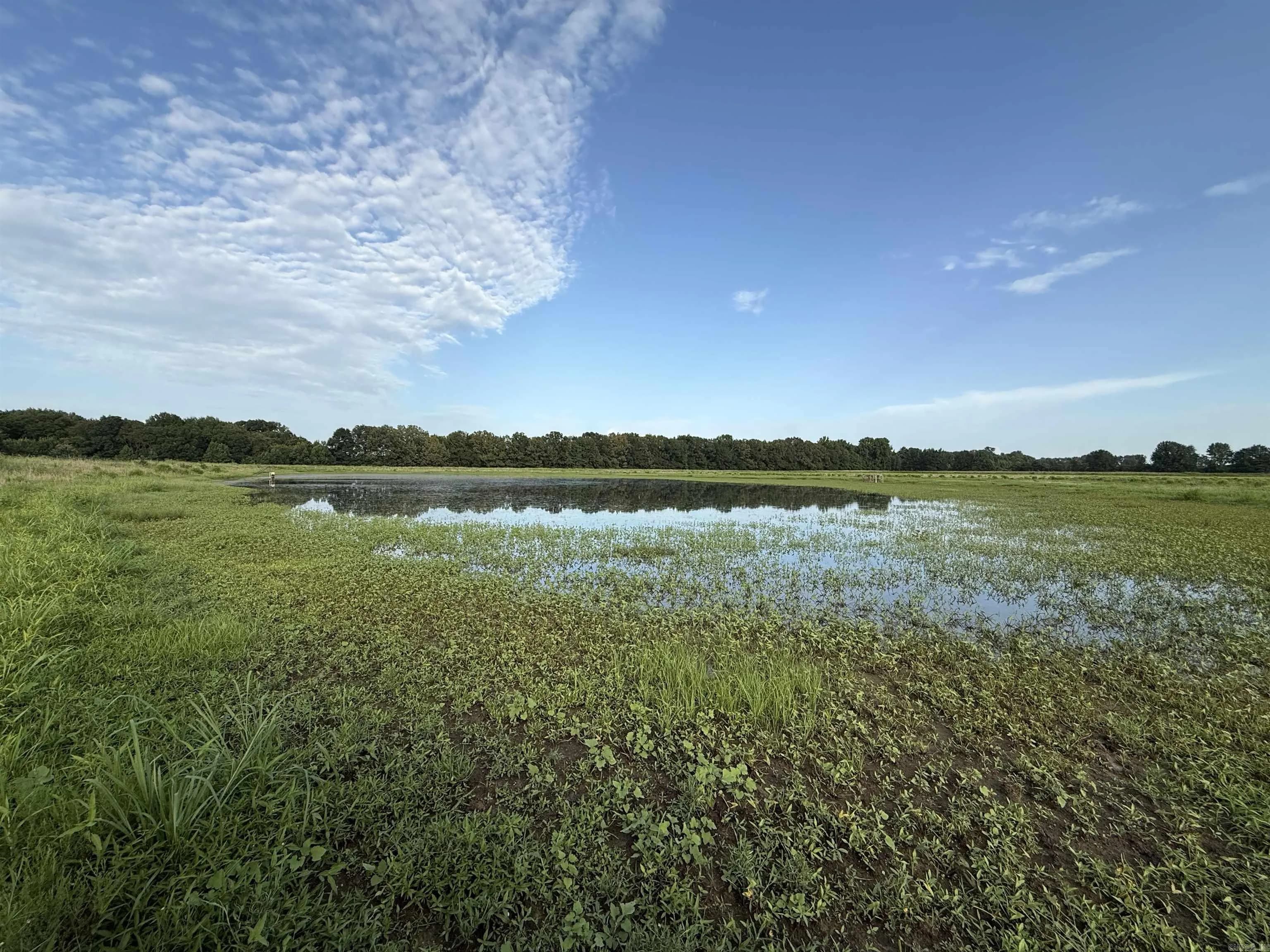 Property at 000  Ar-86 - Image 43