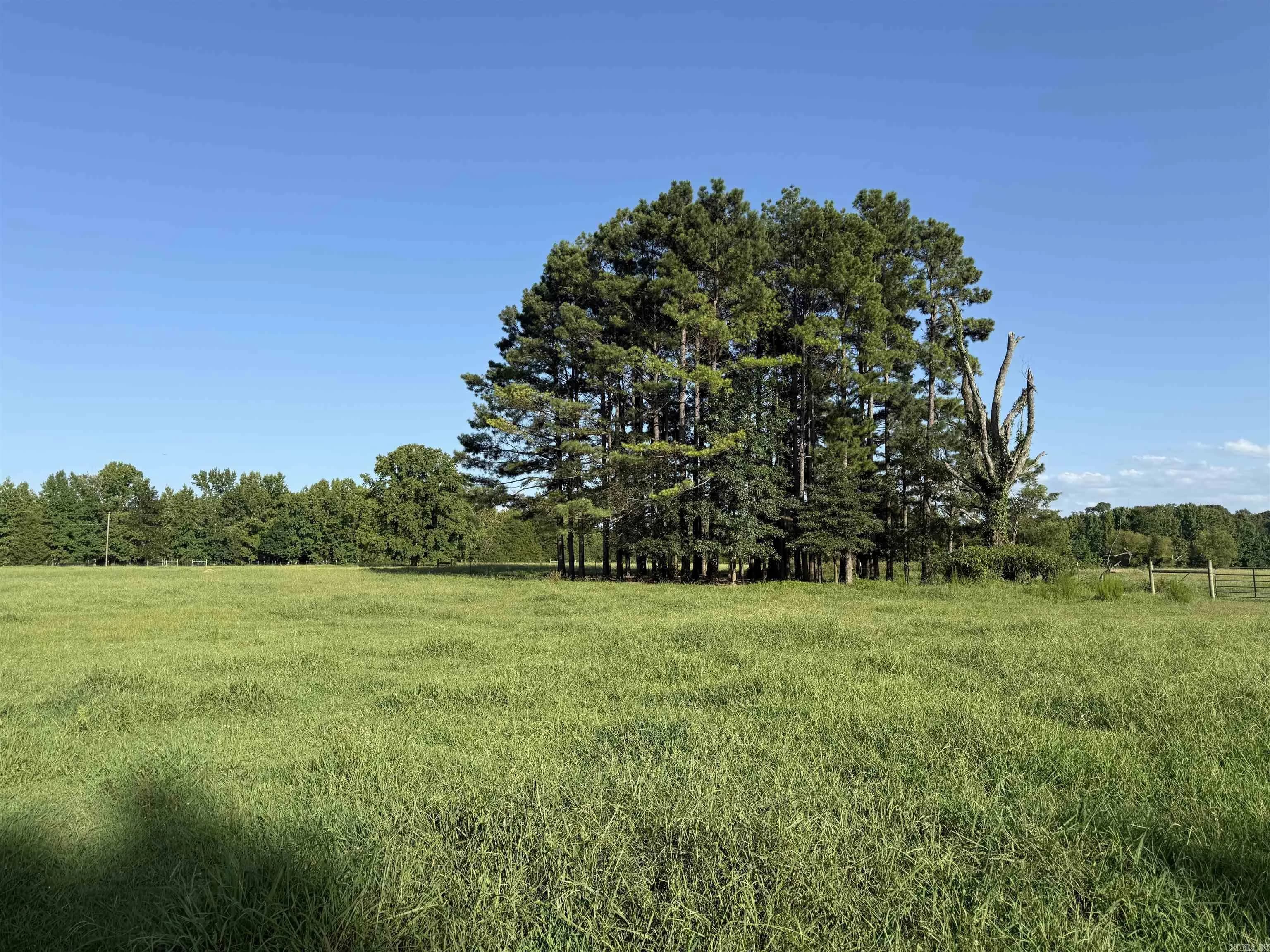 Property at 000  Arthur kirk rd. - Image 29