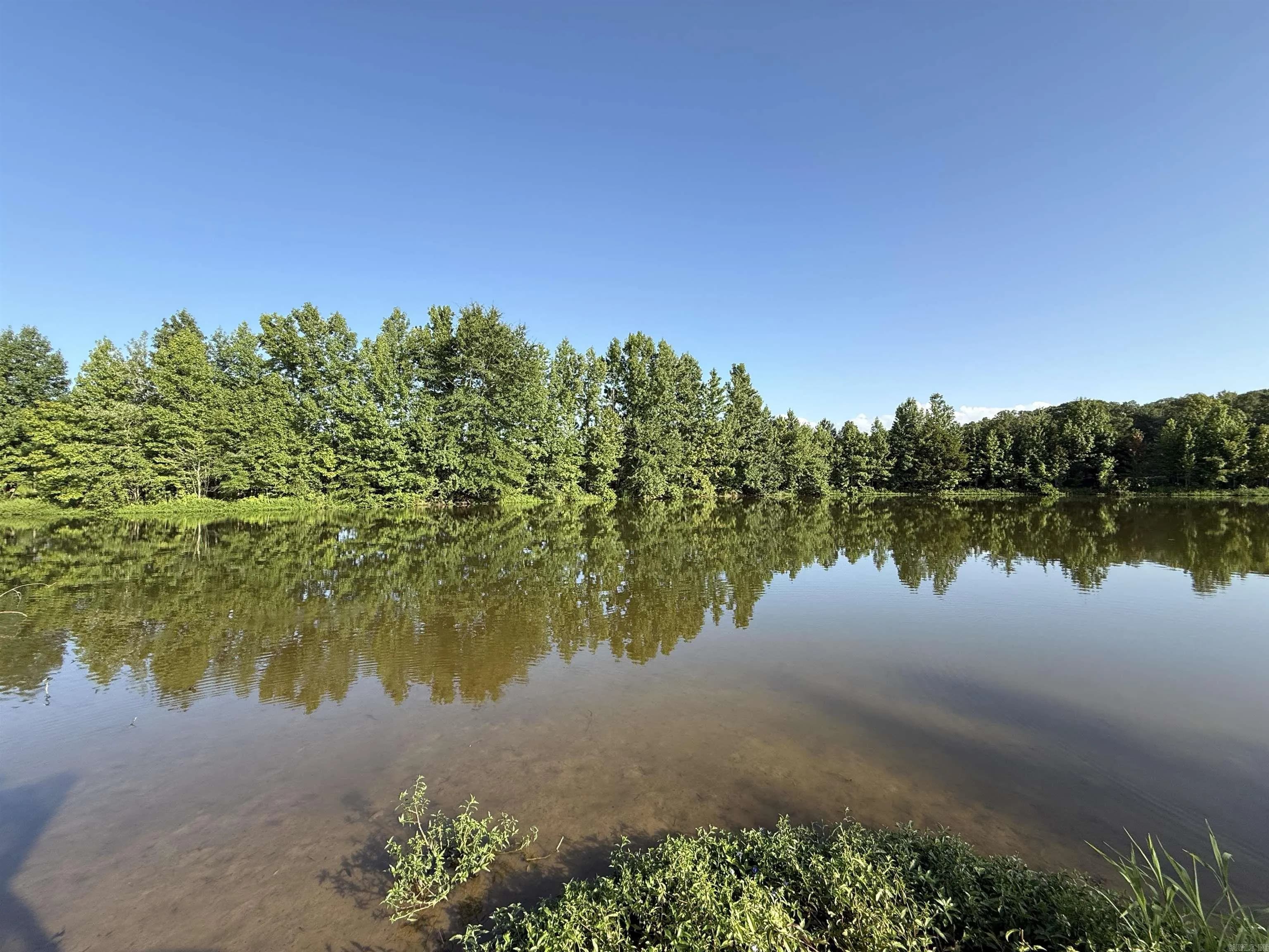 Property at 000  Arthur kirk rd. - Image 10