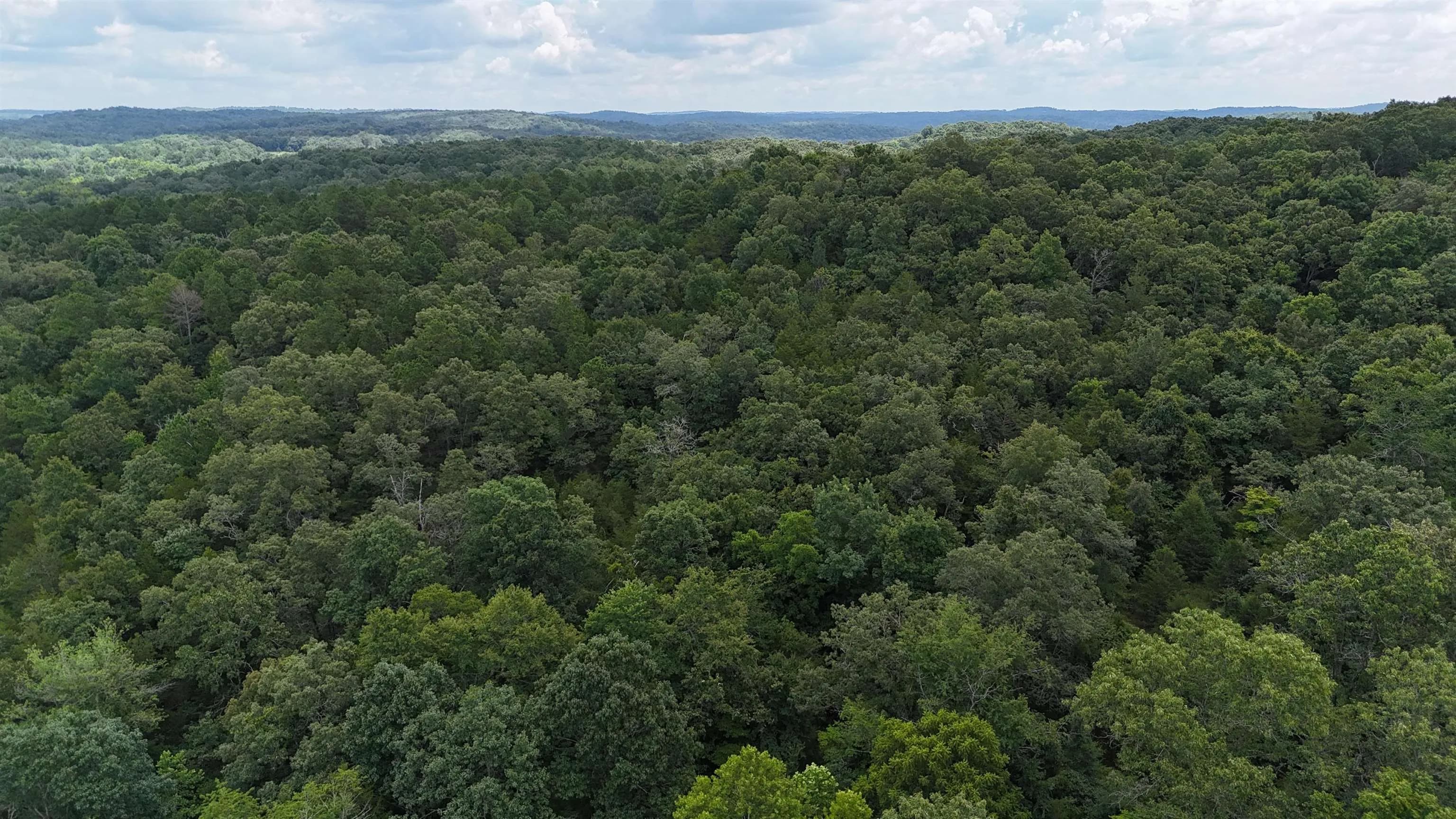 Property at 2572  Cooper hollow - Image 4