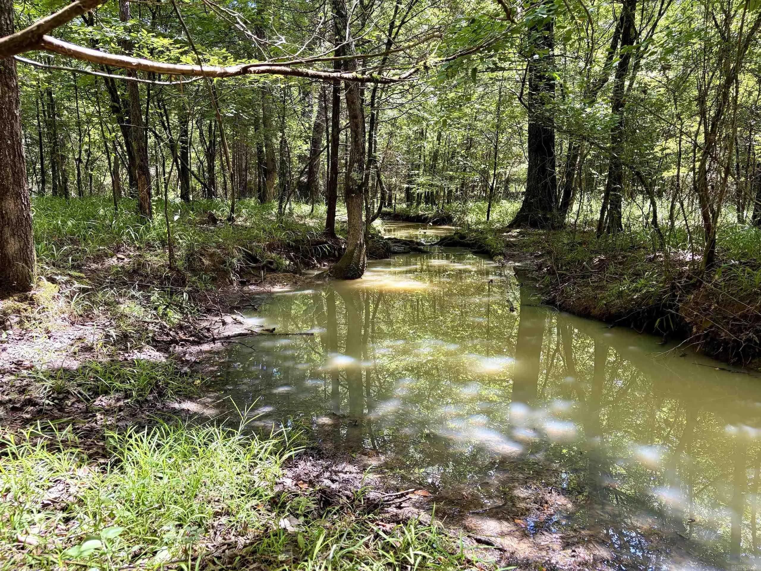 Property at 000  Hwy 28 - Image 14