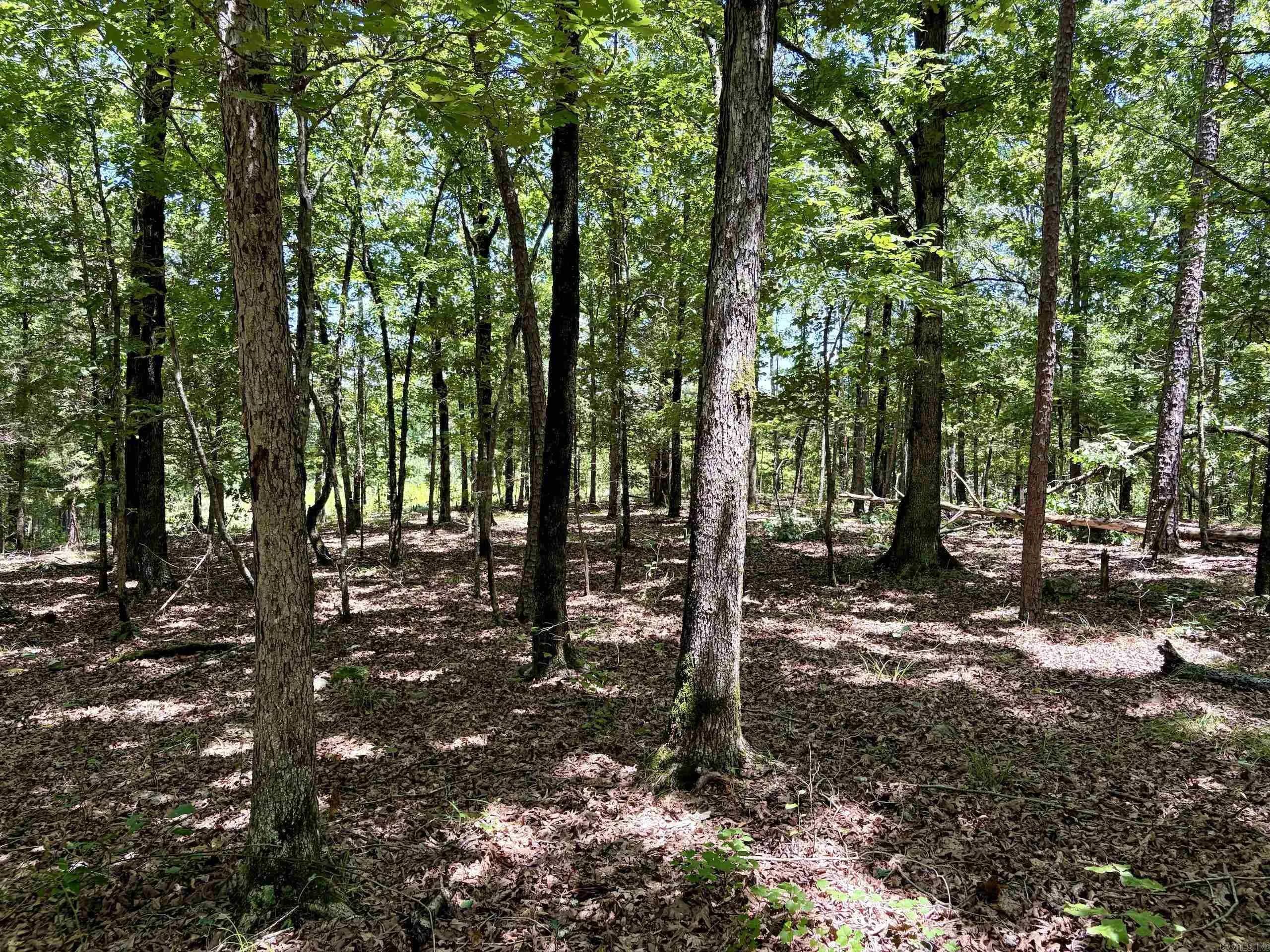 Property at 000  Hwy 28 - Image 37