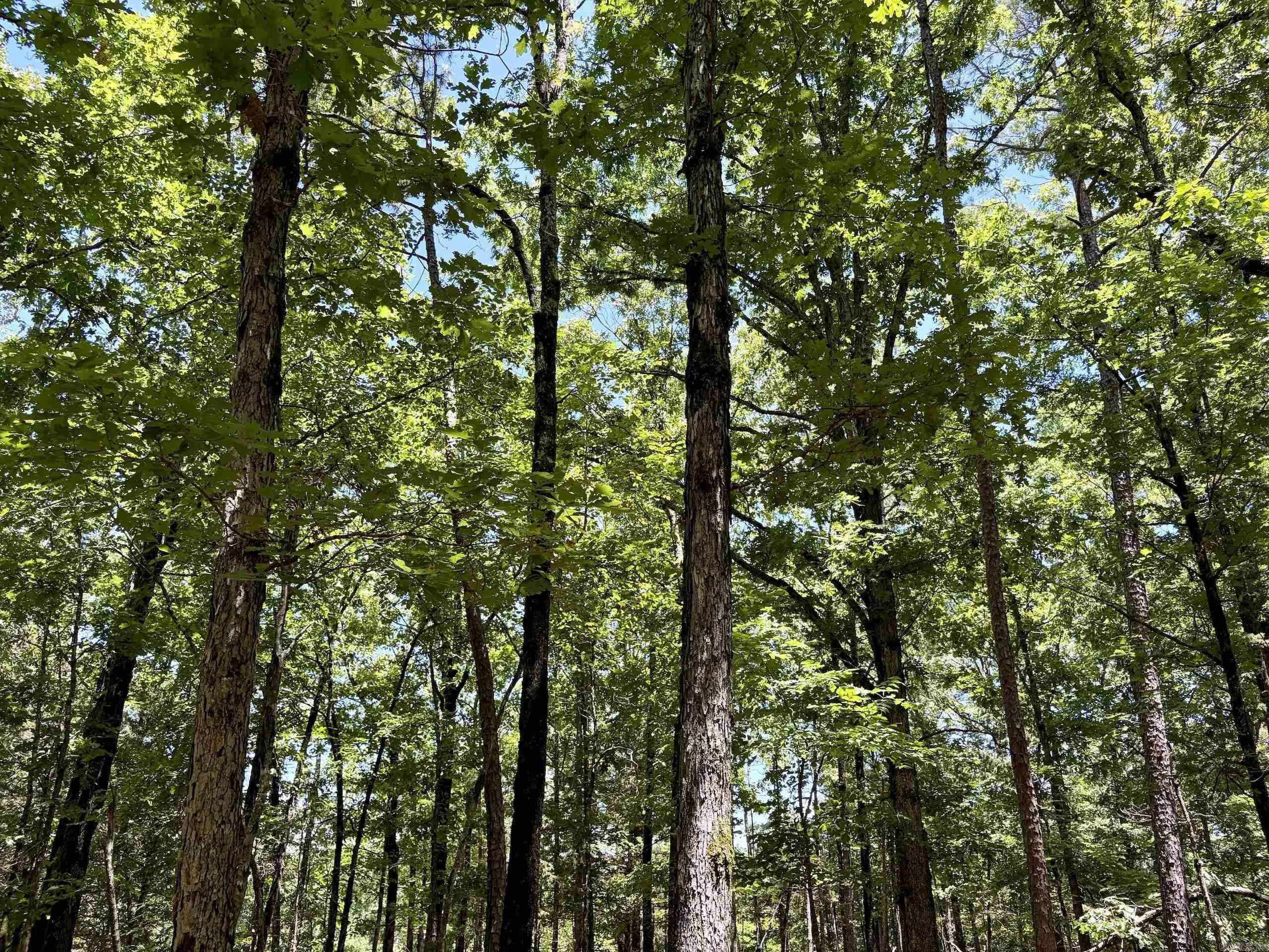Property at 000  Hwy 28 - Image 38