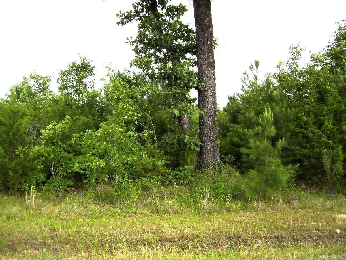 Property at 118  Lr 27 - Image 27