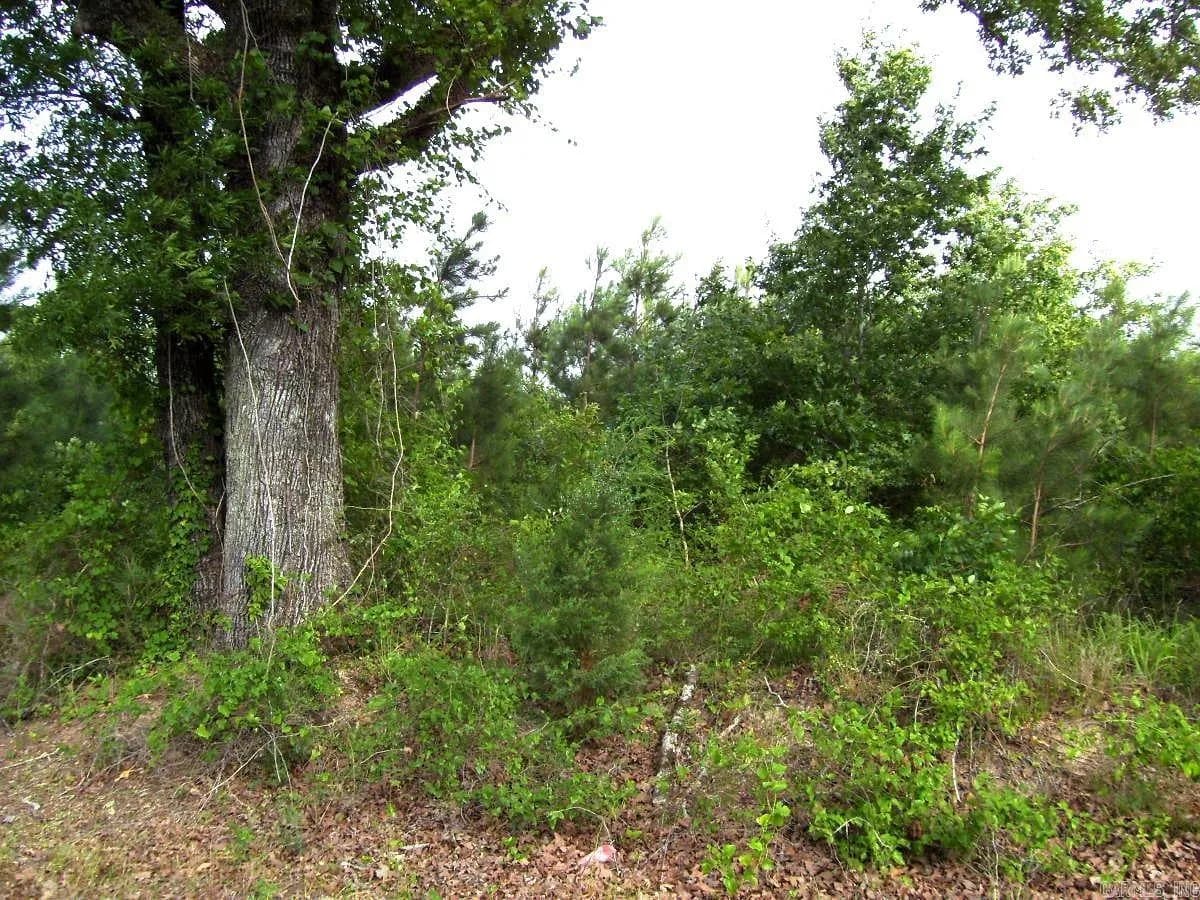 Property at 118  Lr 27 - Image 30