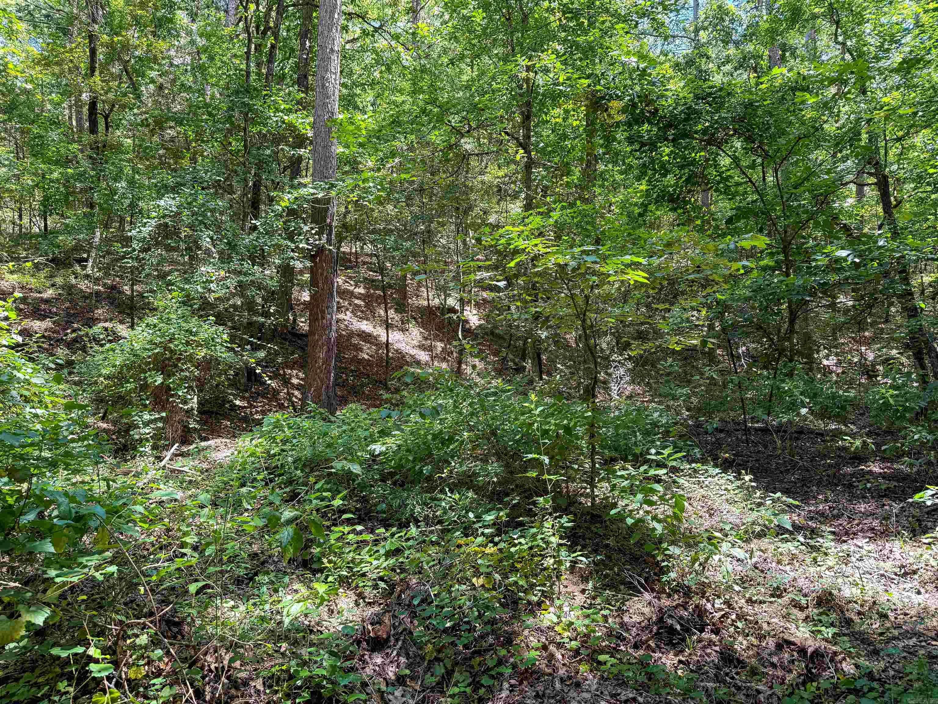 Property at 0  Ember - Image 23