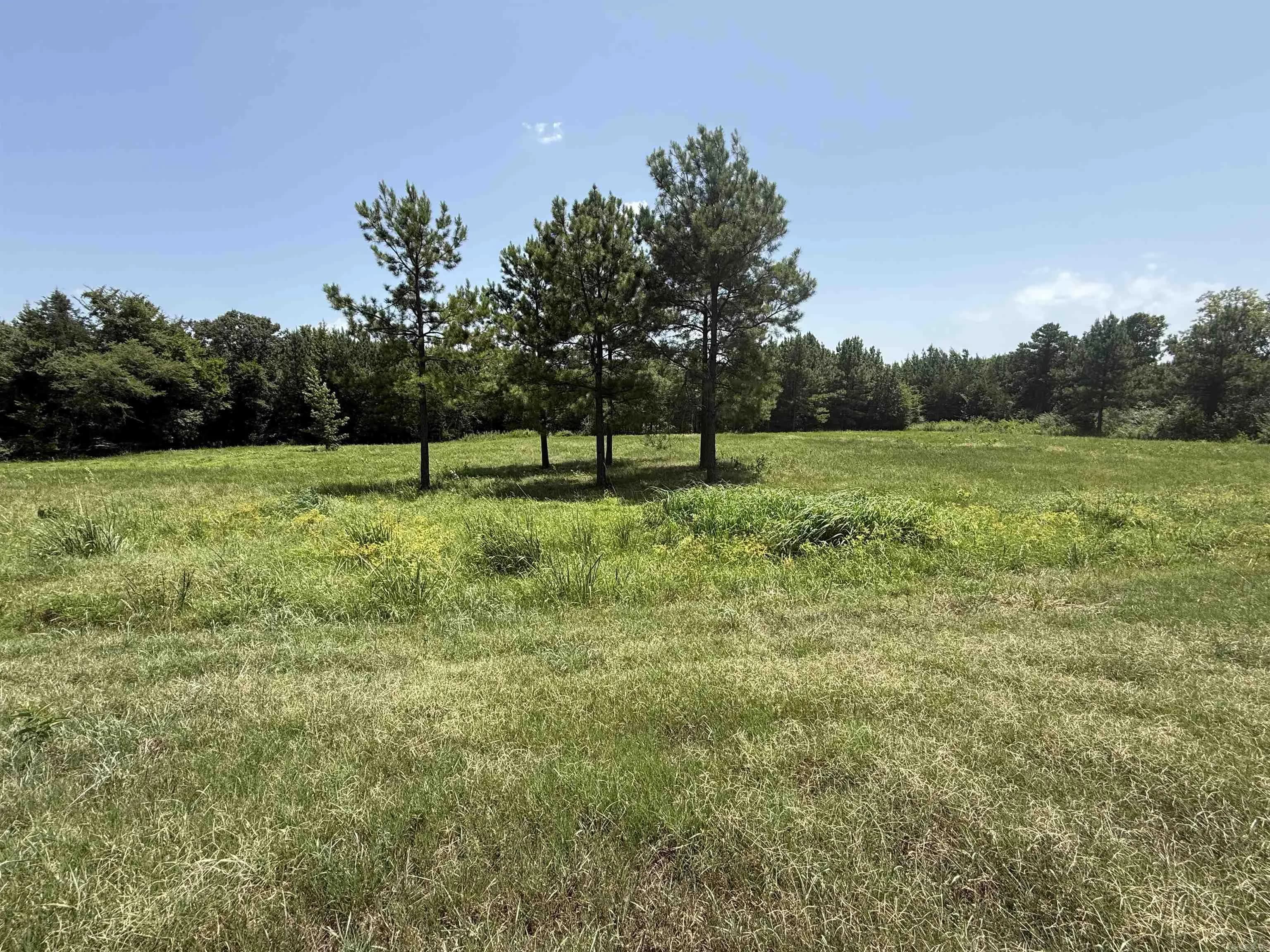 Property at 5883 hwy 123 - Image 6