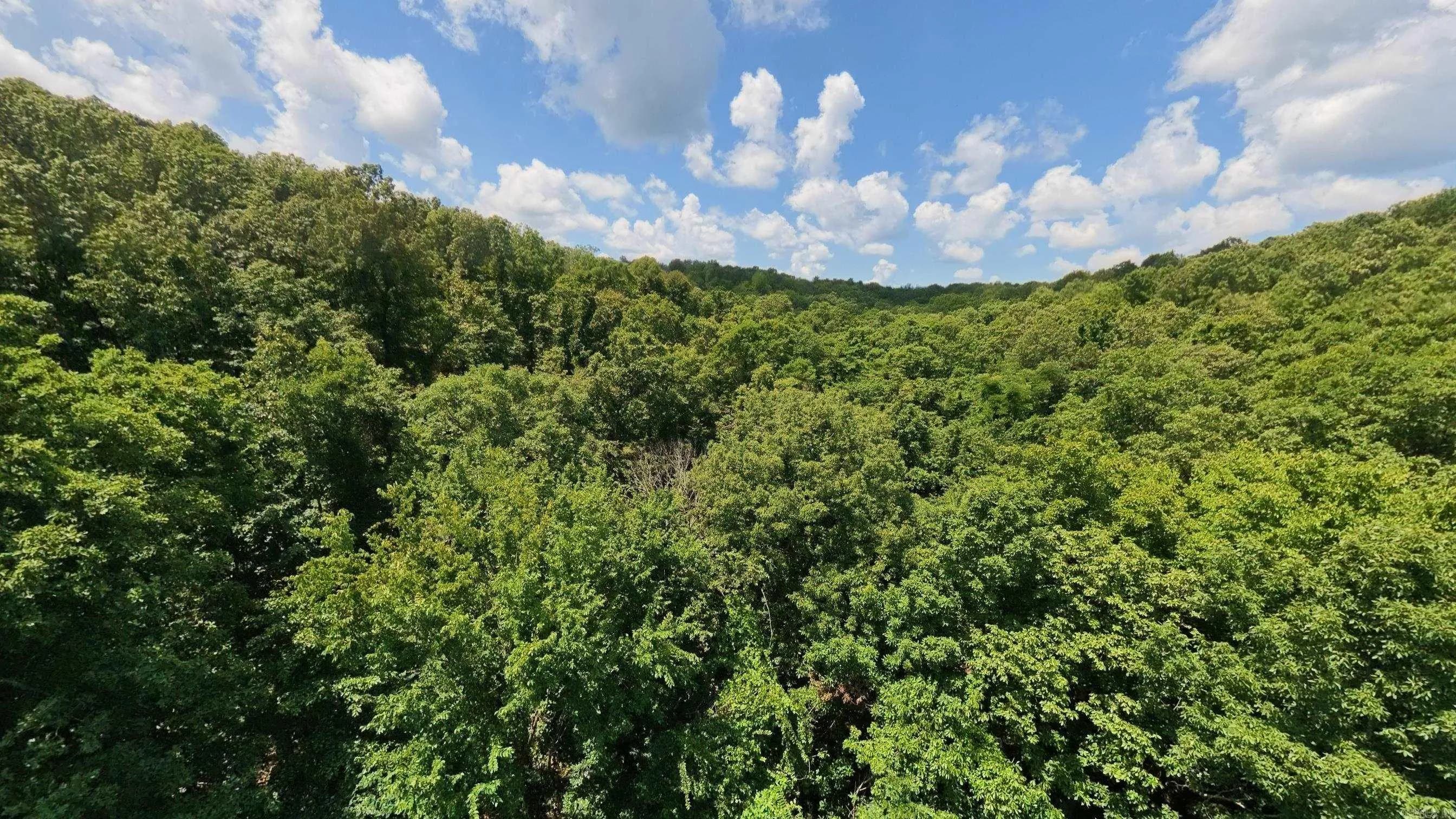 Property at Tract 5  Upper janes creek - Image 6