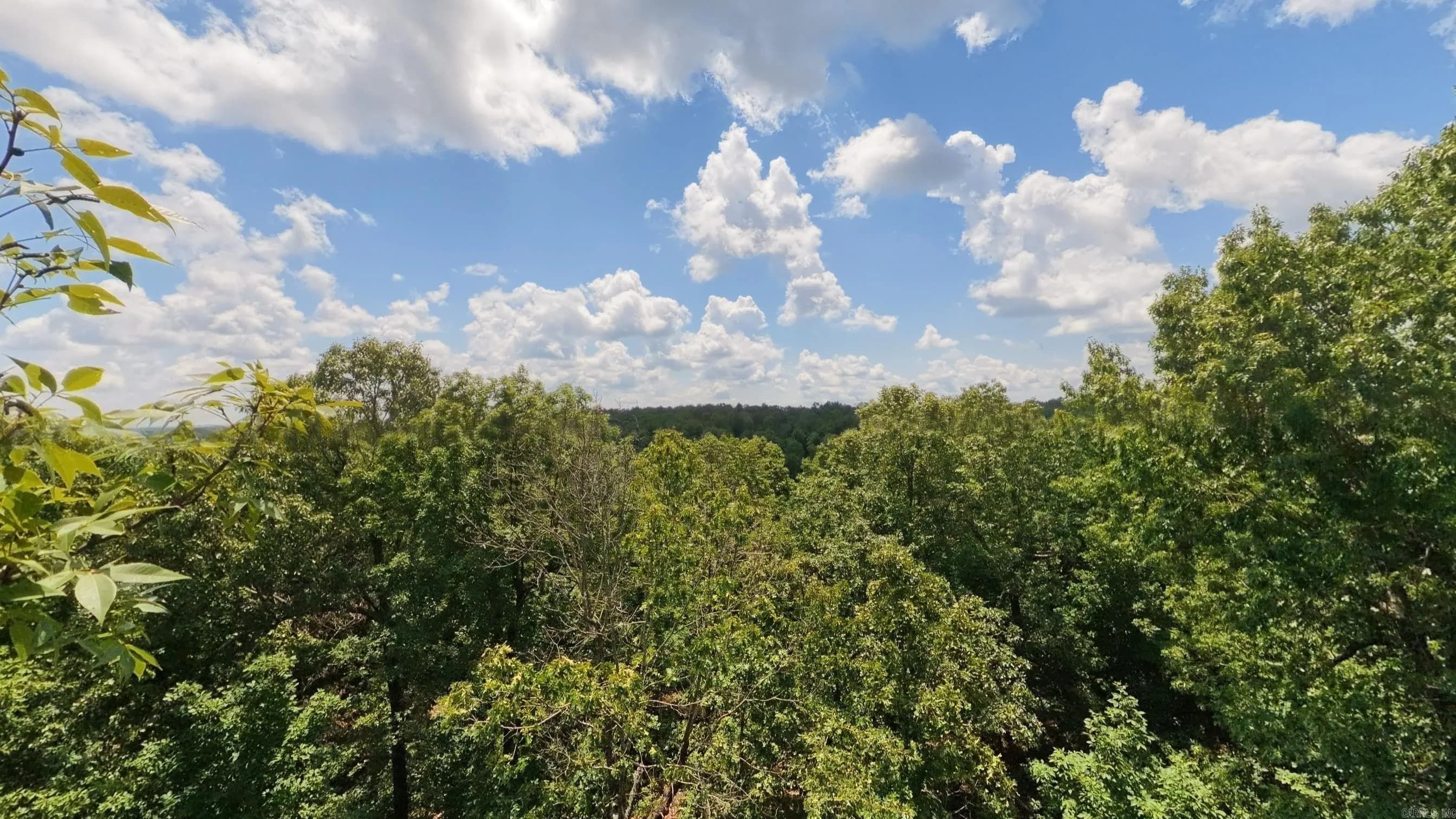 Property at Tract 5  Upper janes creek - Image 4