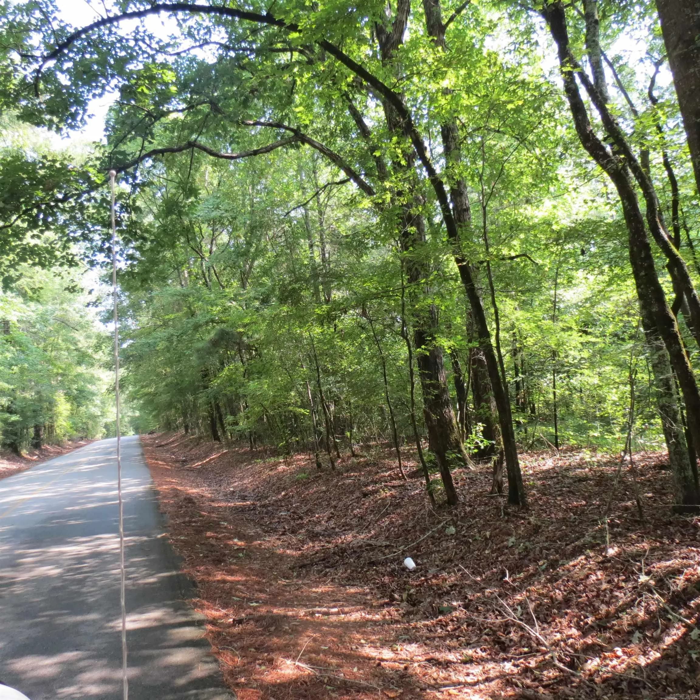 Property at 000  Highway 133 - Image 5